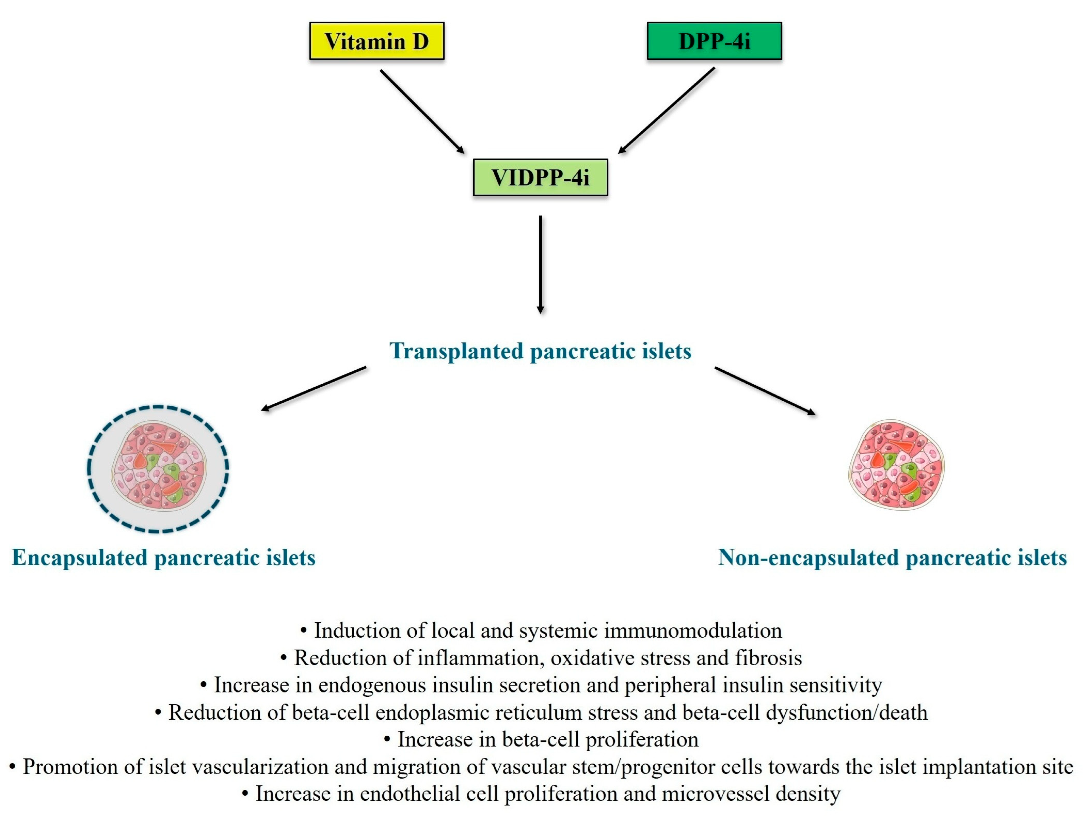 Medsci 13 00141 g001