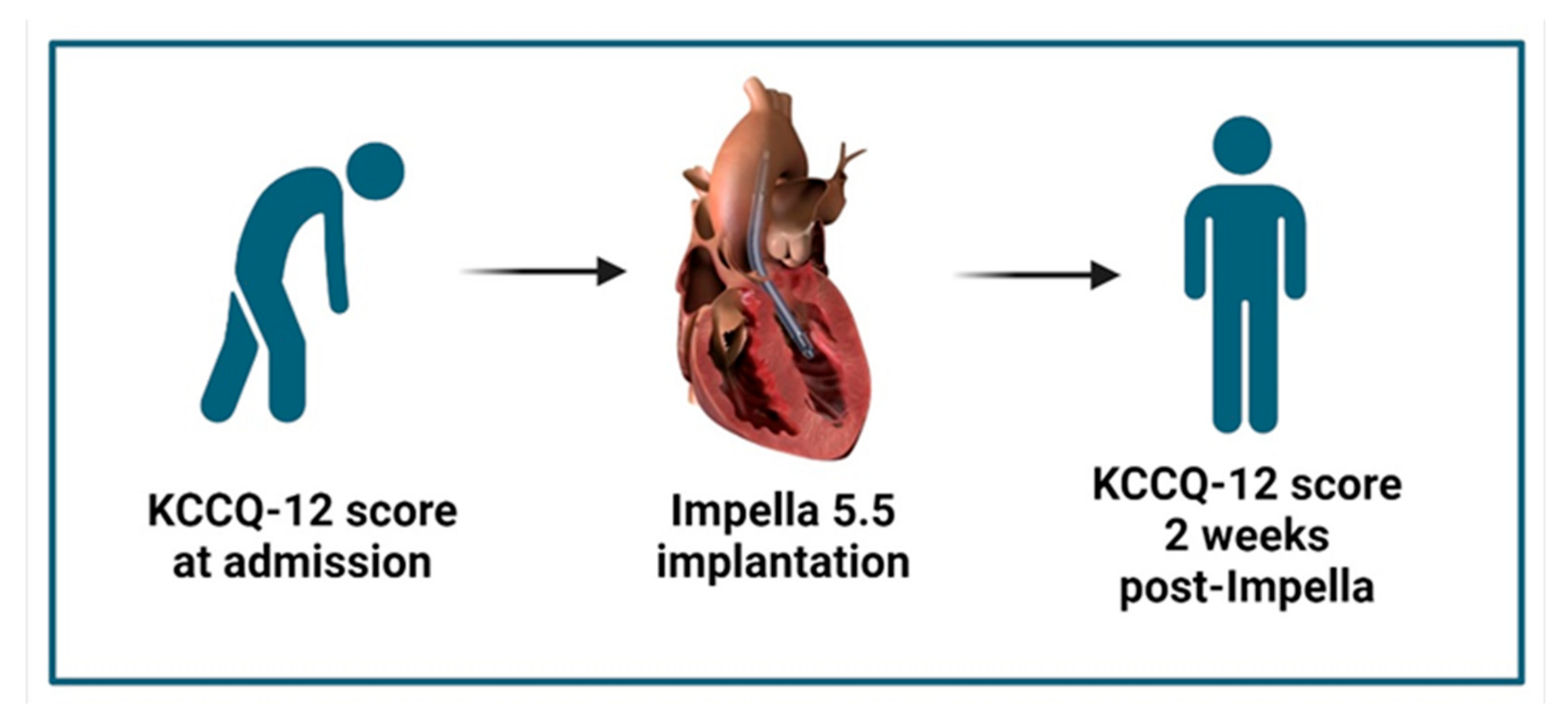 Medsci 13 00146 g003