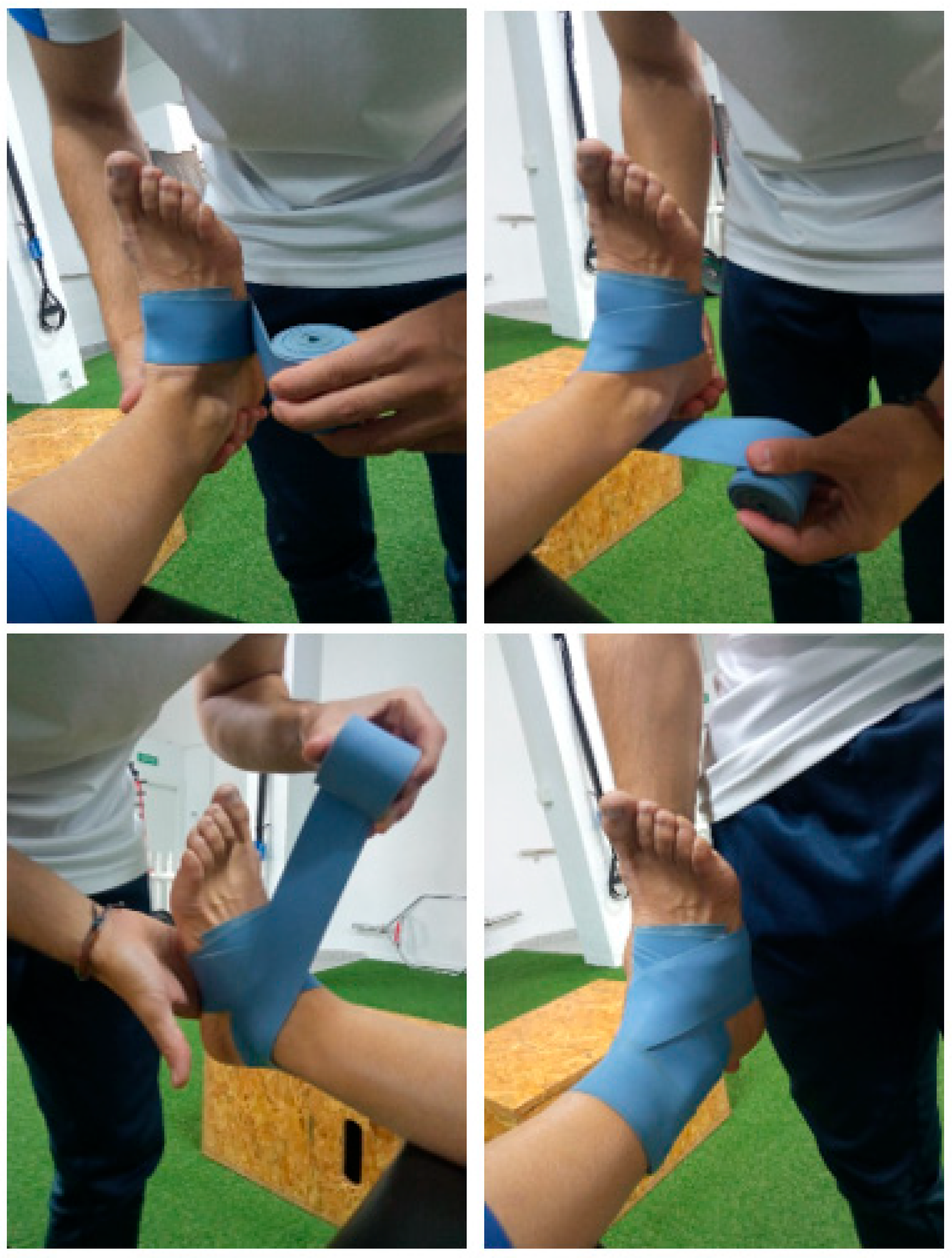 Medsci 13 00149 g001