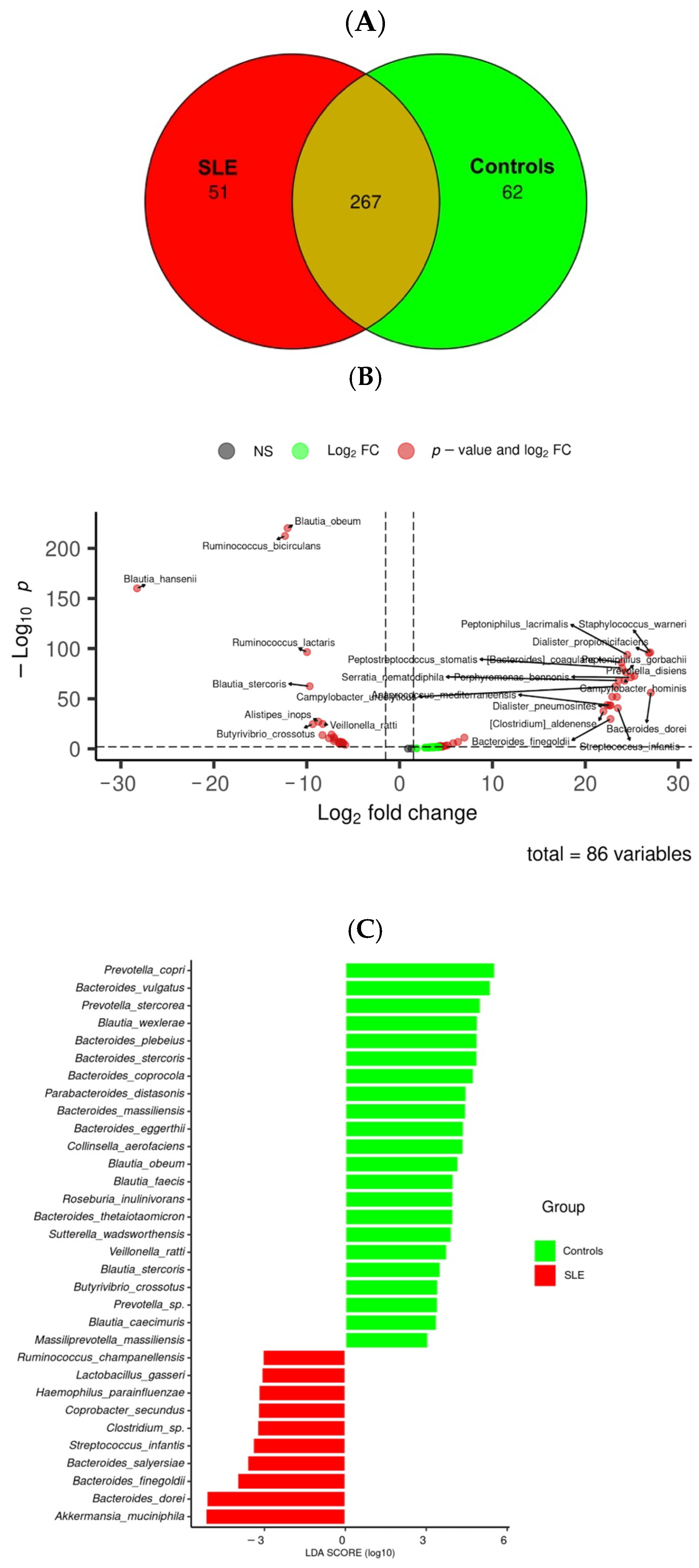 Medsci 13 00151 g002 Medsci 13 00151 g002