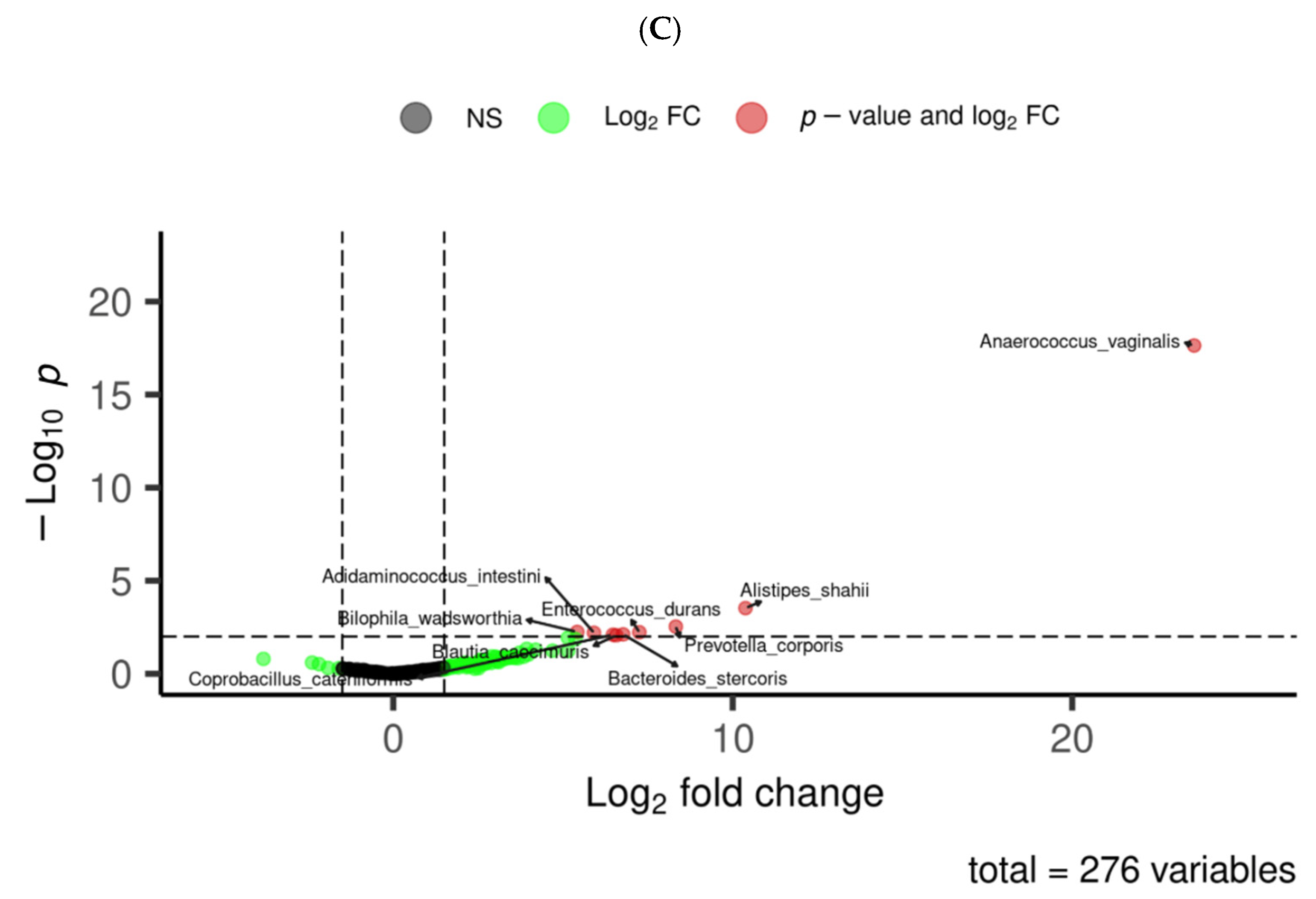 Medsci 13 00151 g004b Medsci 13 00151 g004b