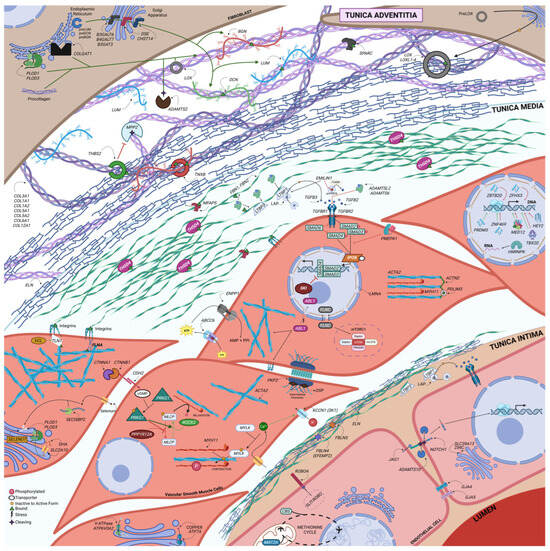 Medsci 13 00155 g002