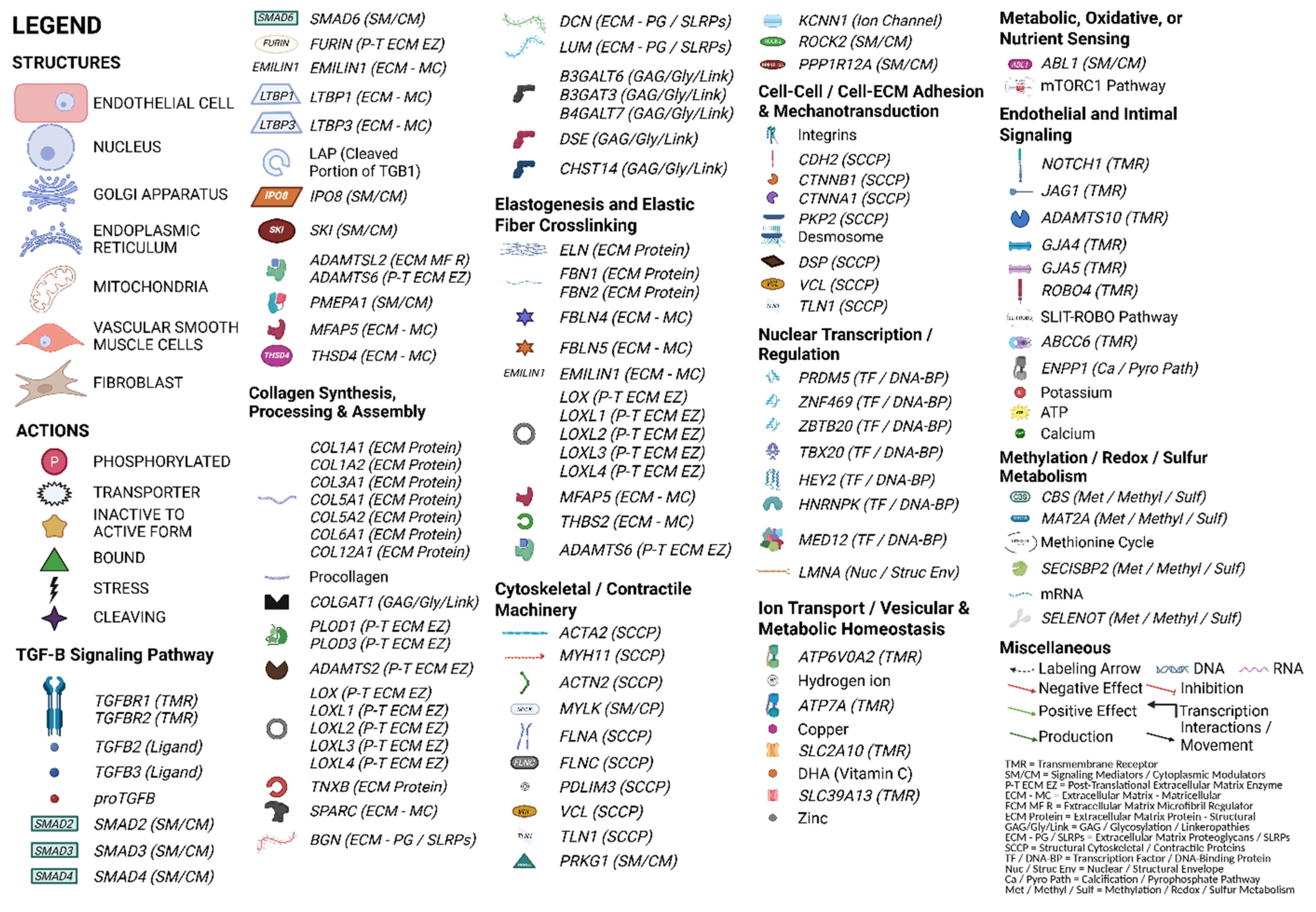 Medsci 13 00155 g003 Medsci 13 00155 g003