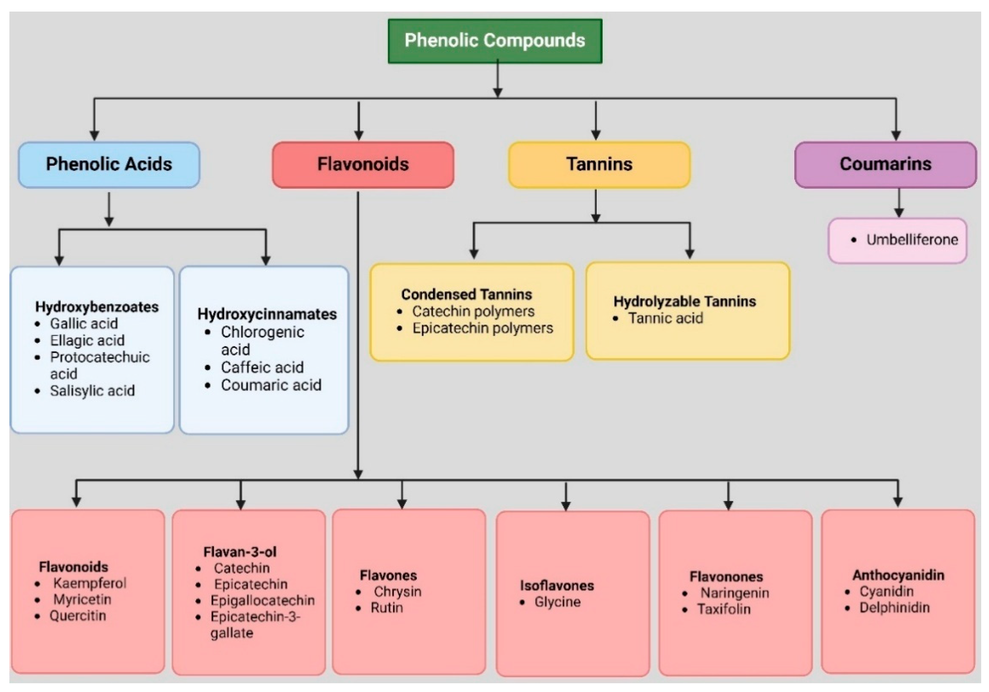 Medsci 13 00161 g001