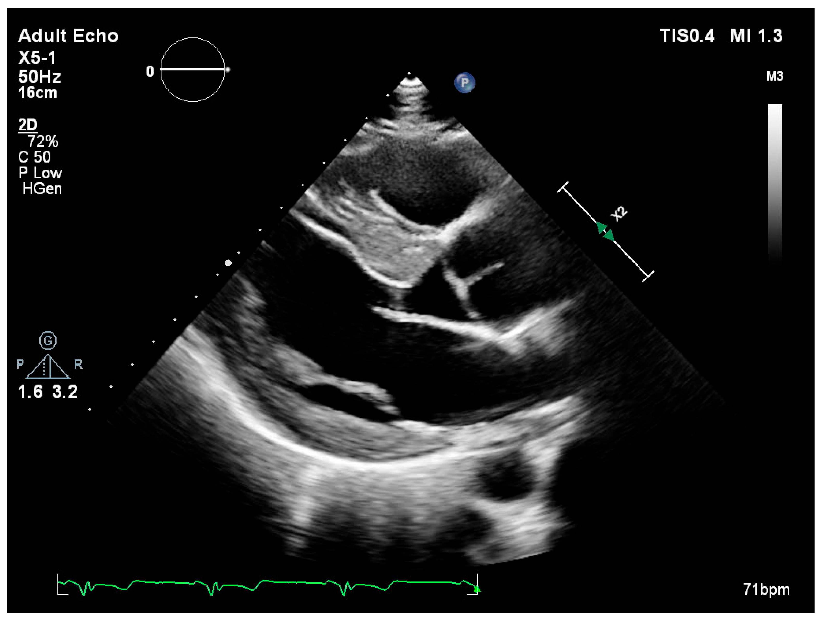 Medsci 13 00162 g001