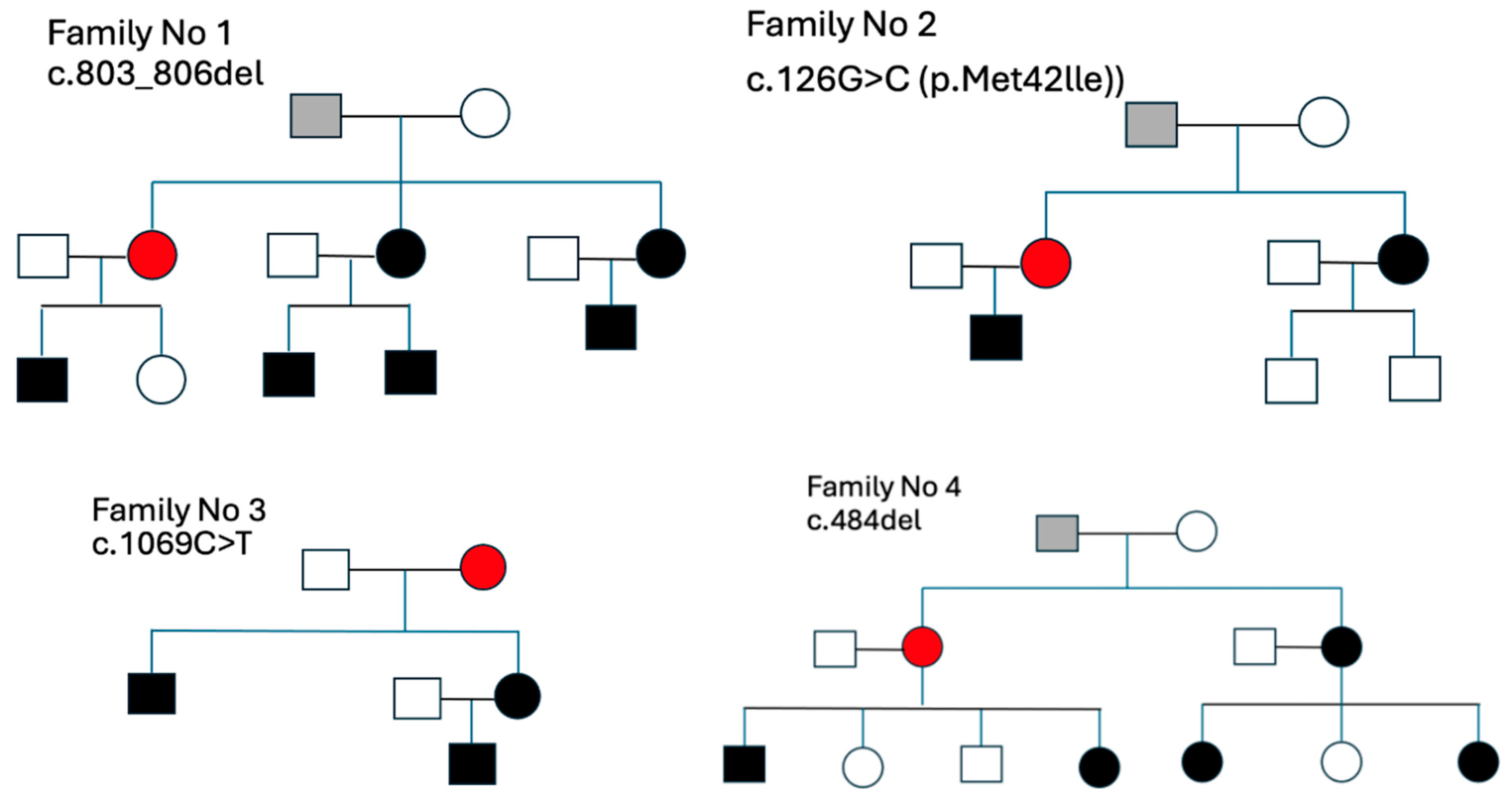 Medsci 13 00162 g003