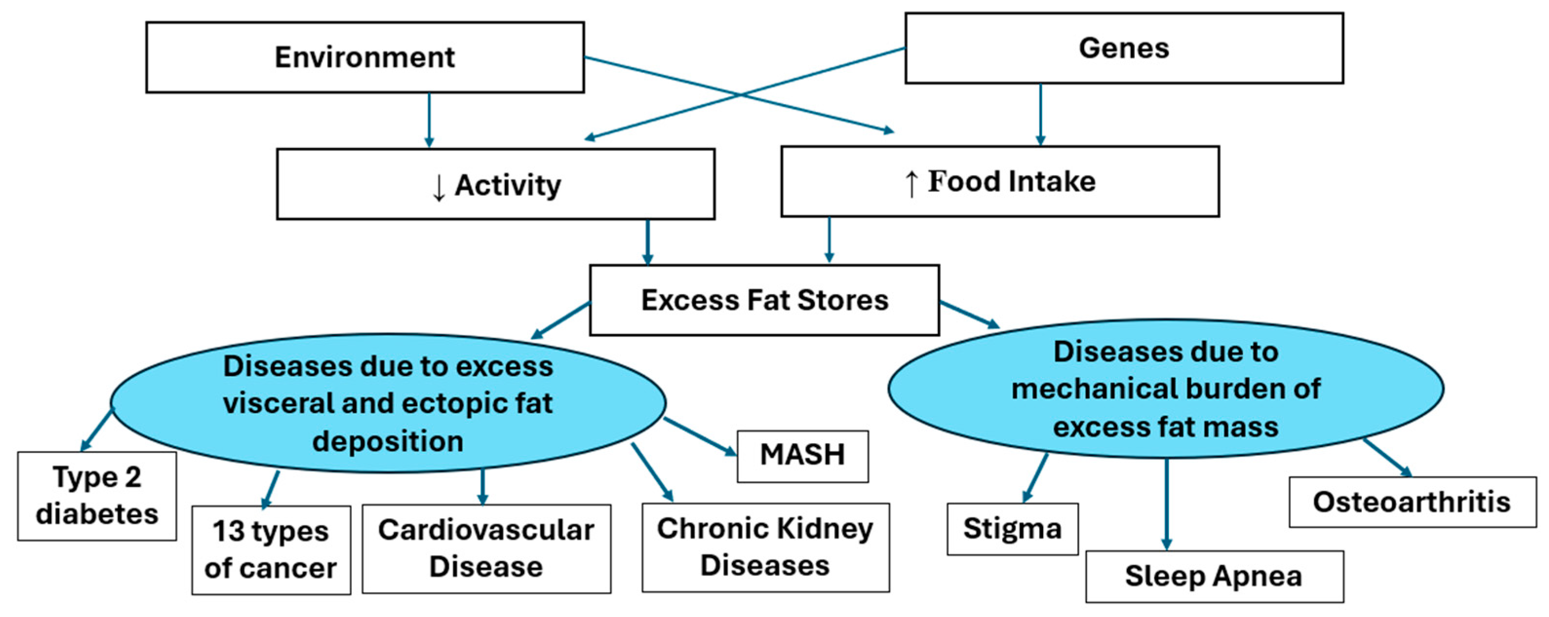Medsci 13 00176 g003 Medsci 13 00176 g003