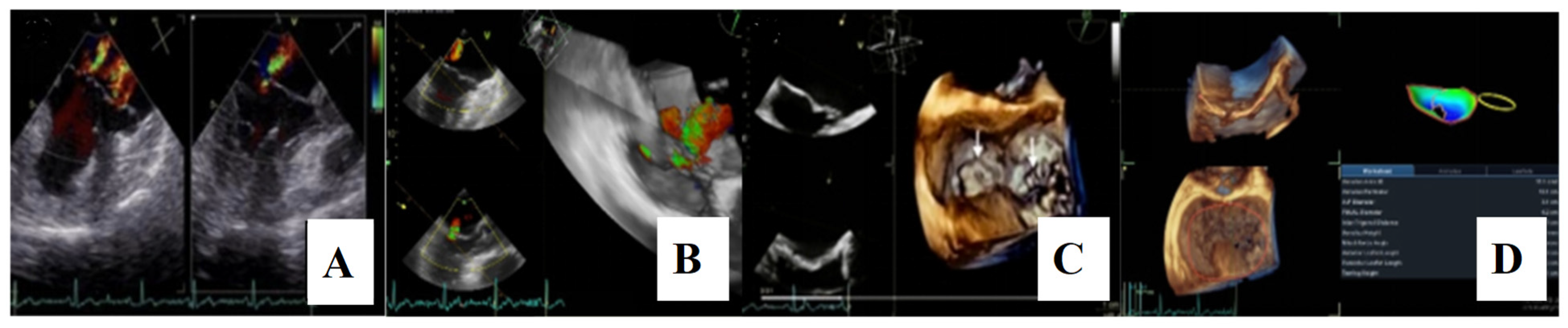 Medsci 13 00185 g006