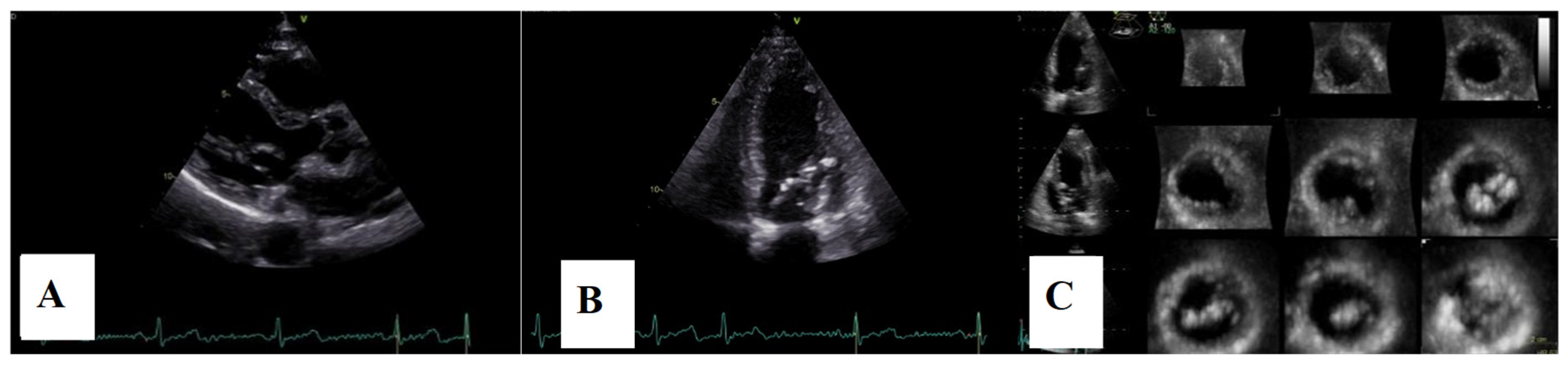 Medsci 13 00185 g010