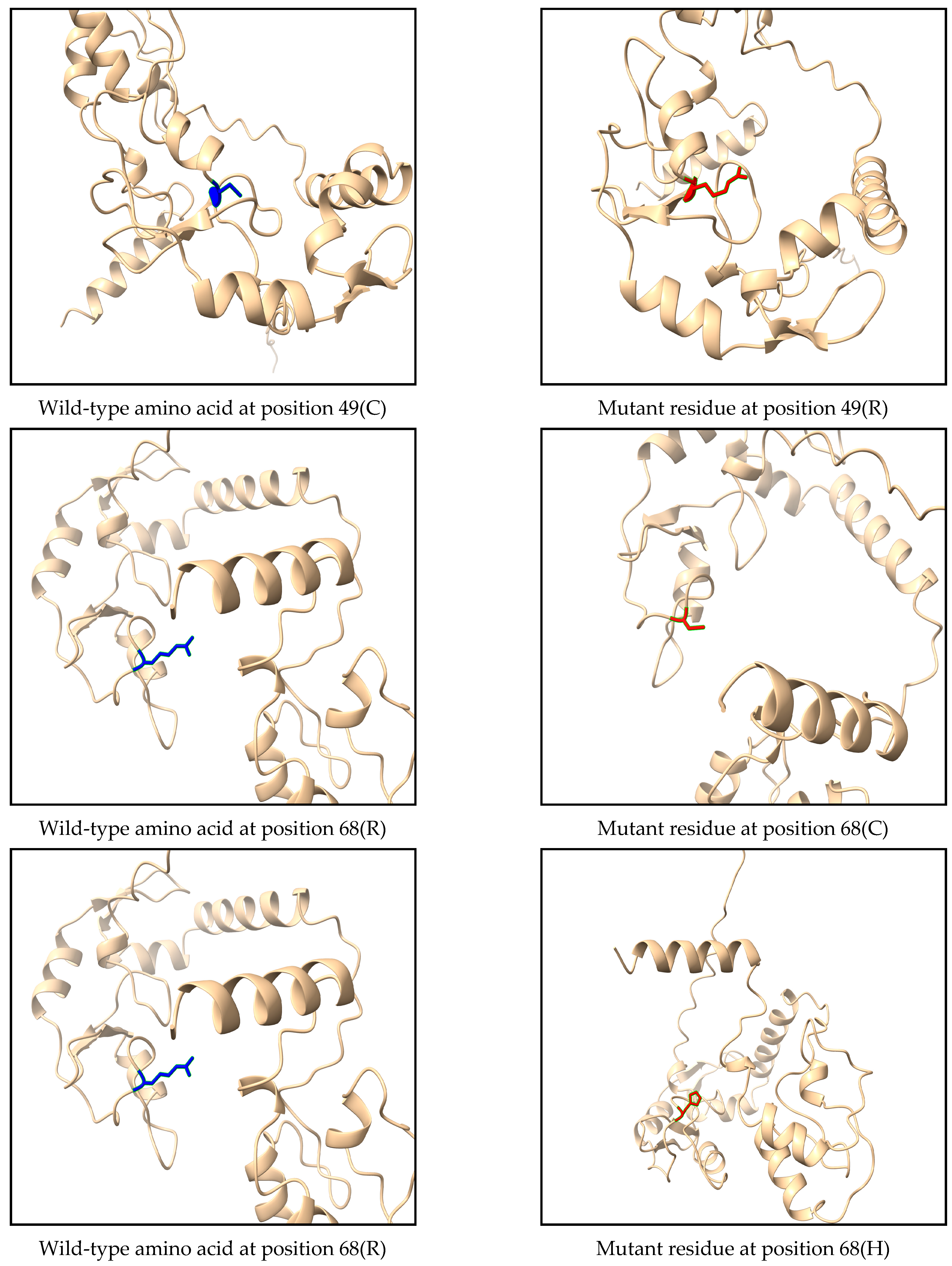 Medsci 13 00194 g003