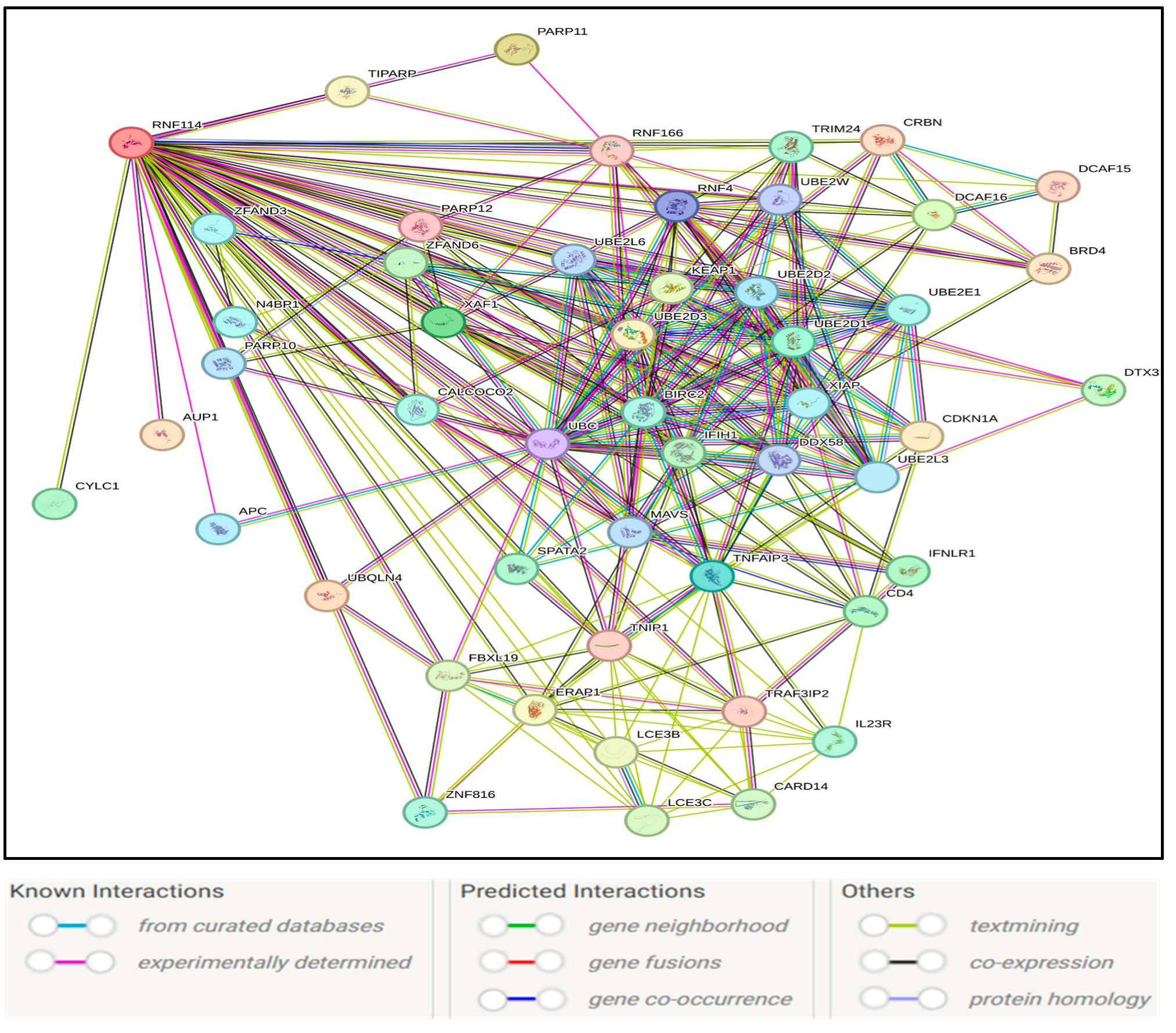 Medsci 13 00194 g004