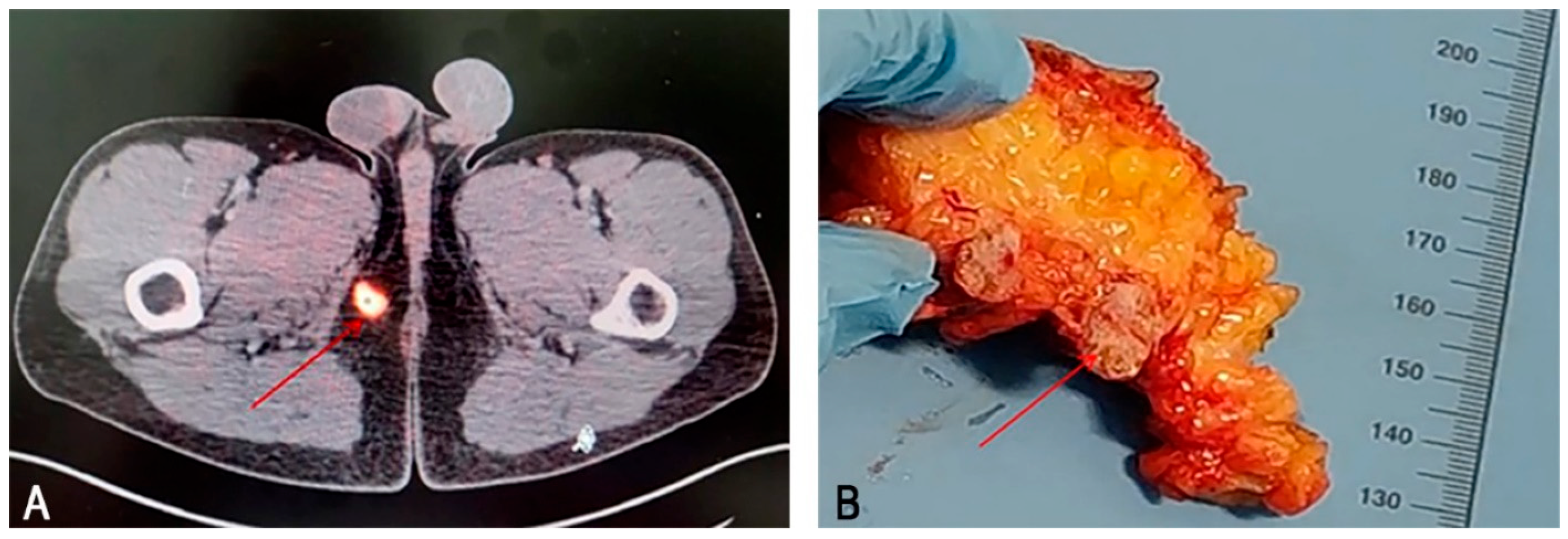 Medsci 13 00195 g001