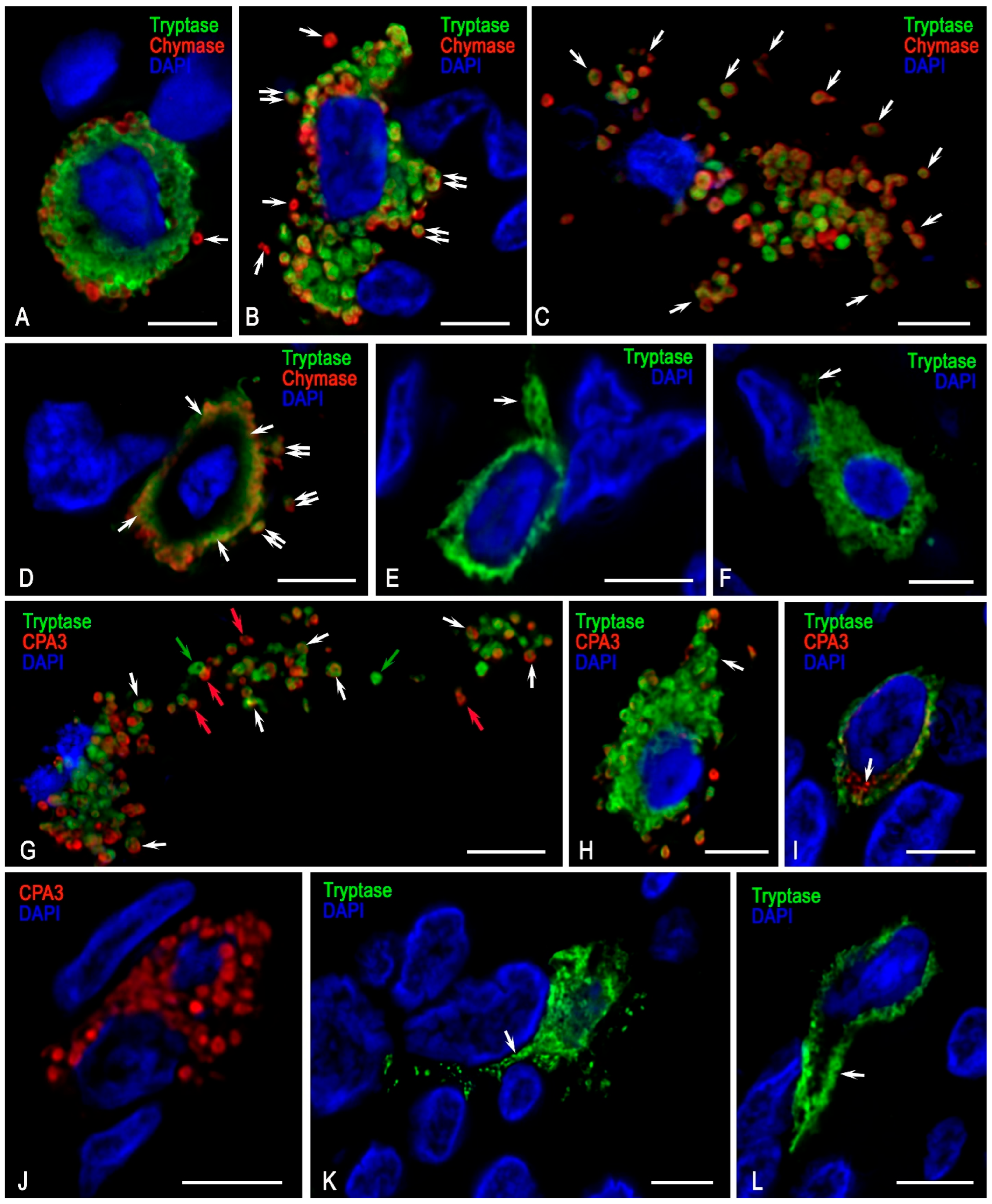 Medsci 13 00195 g008