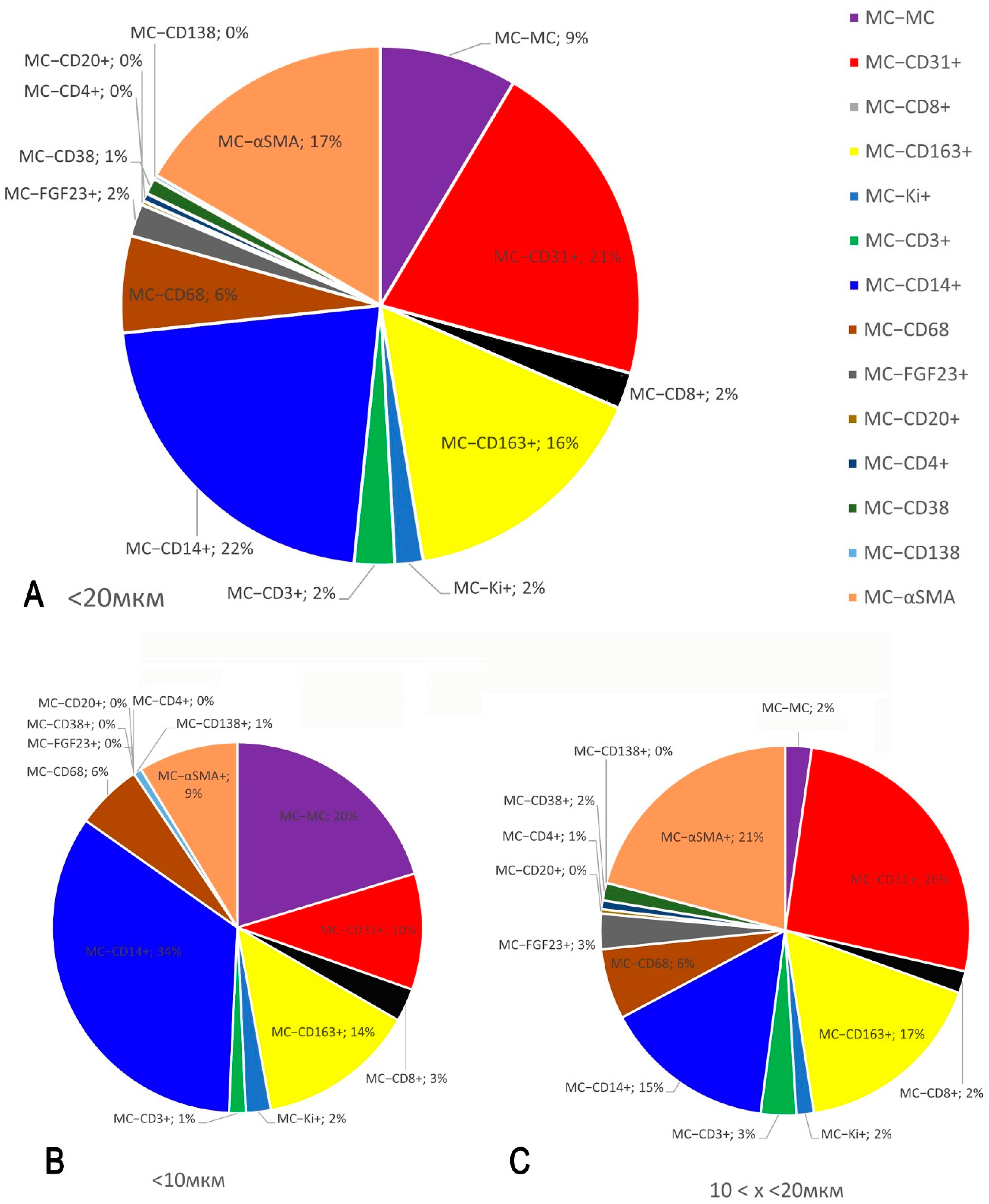 Medsci 13 00195 g009