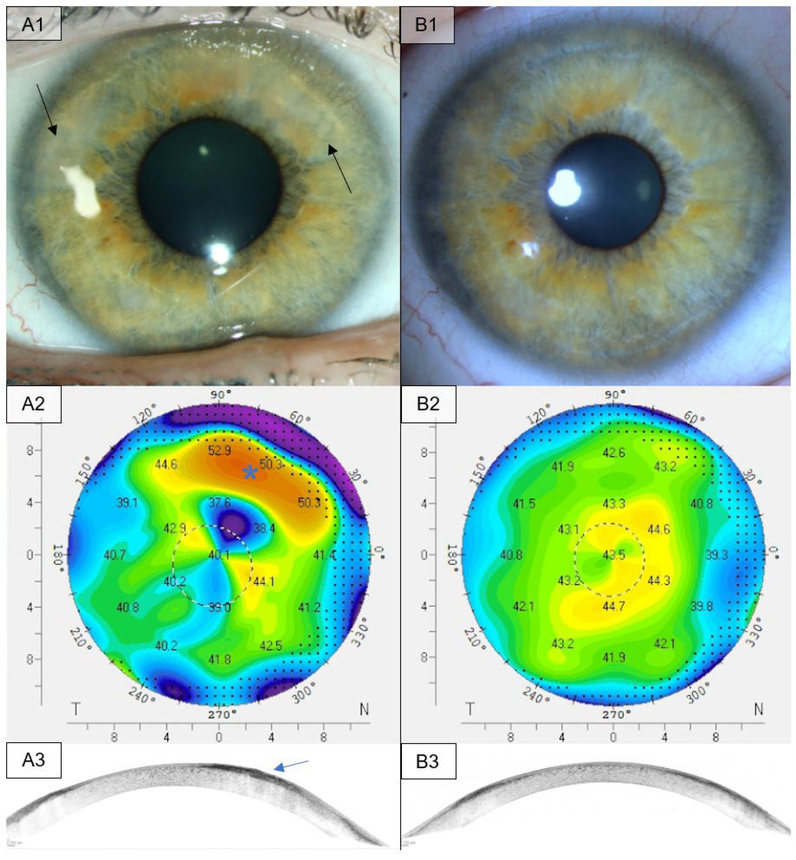 Medsci 13 00197 g003 Medsci 13 00197 g003