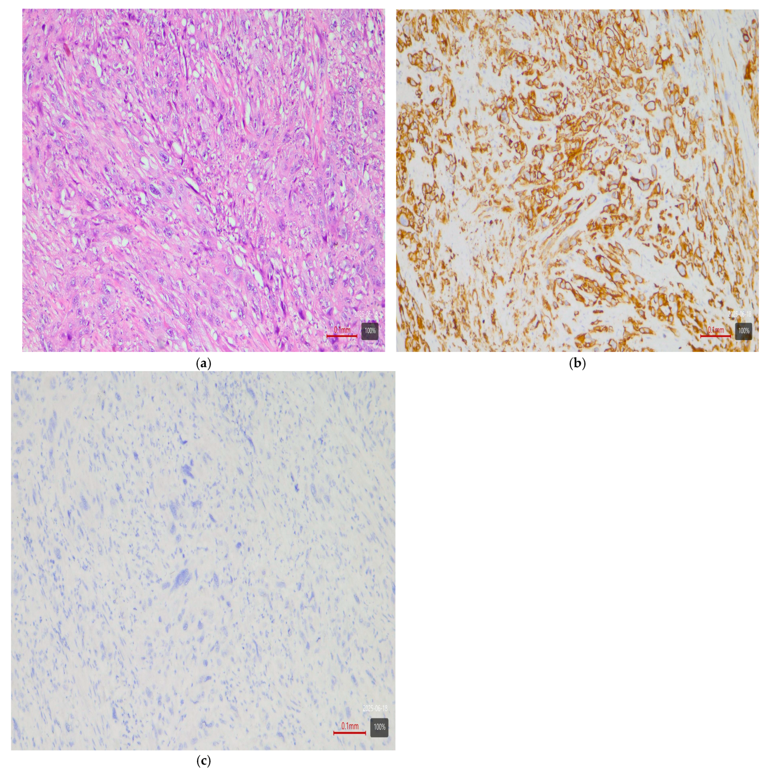 Medsci 13 00202 g004 Medsci 13 00202 g004