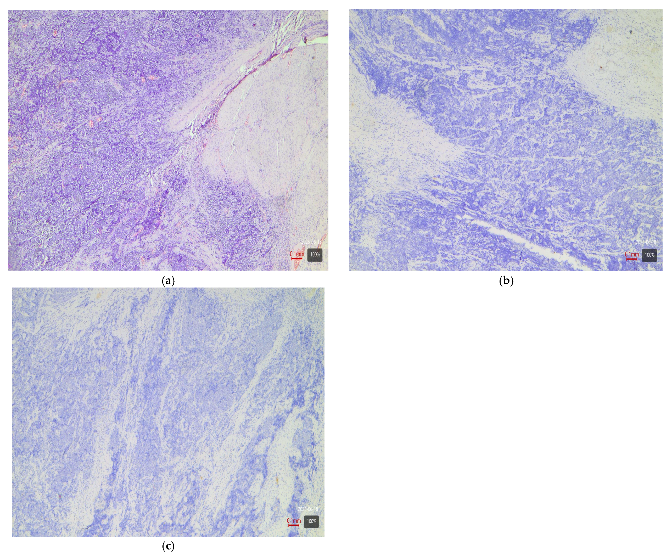 Medsci 13 00202 g005 Medsci 13 00202 g005