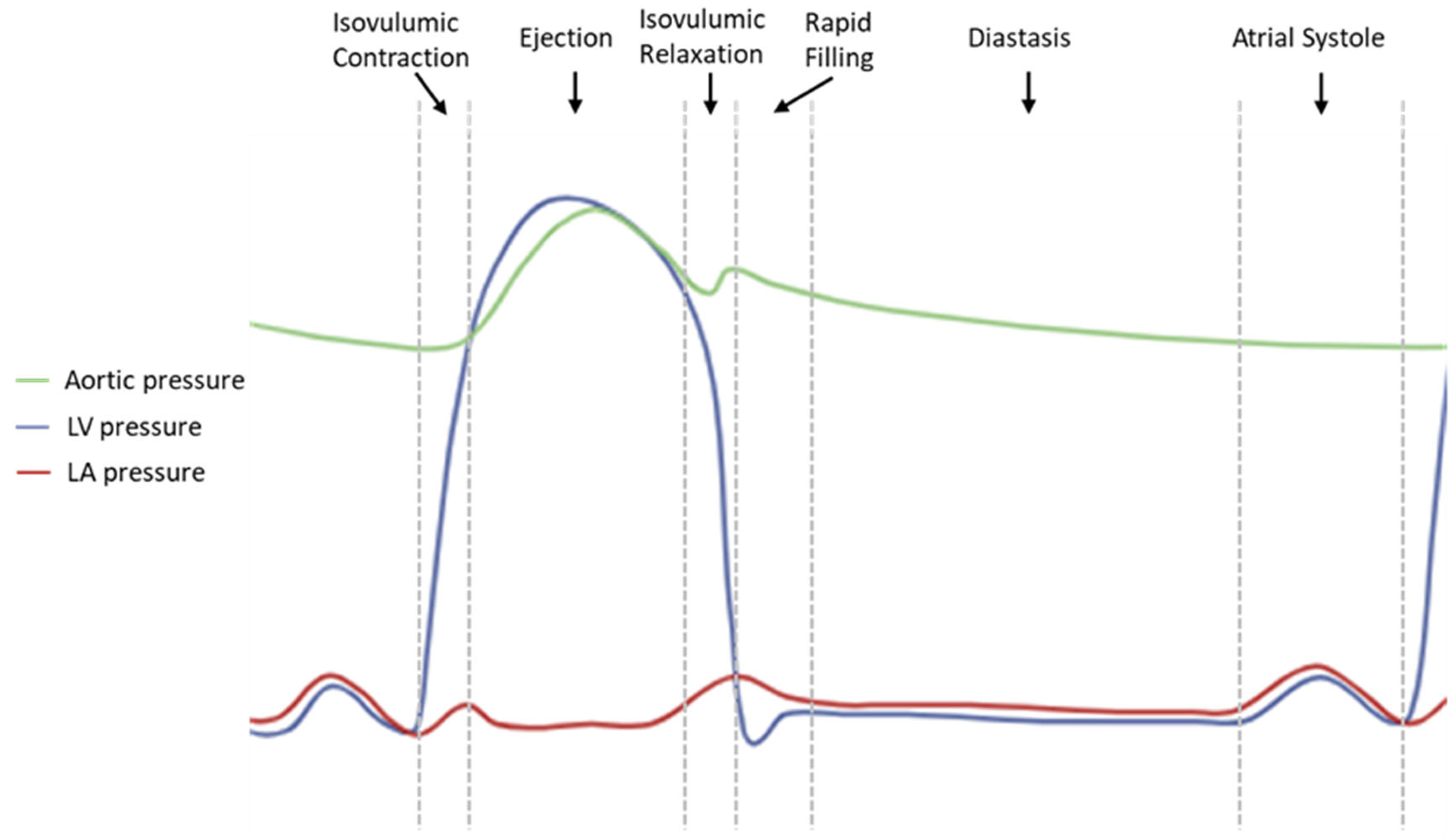 Medsci 13 00204 g001