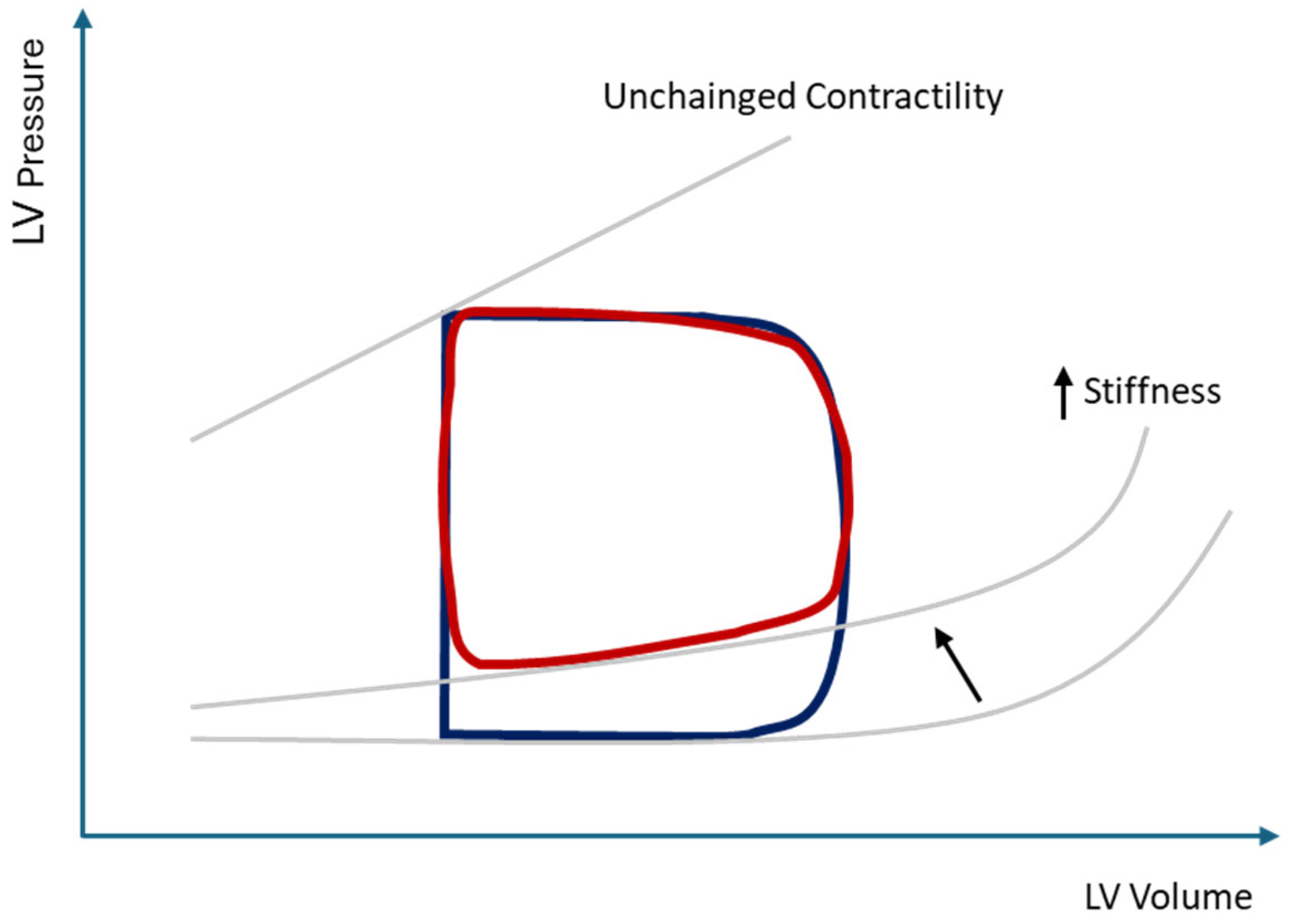 Medsci 13 00204 g003