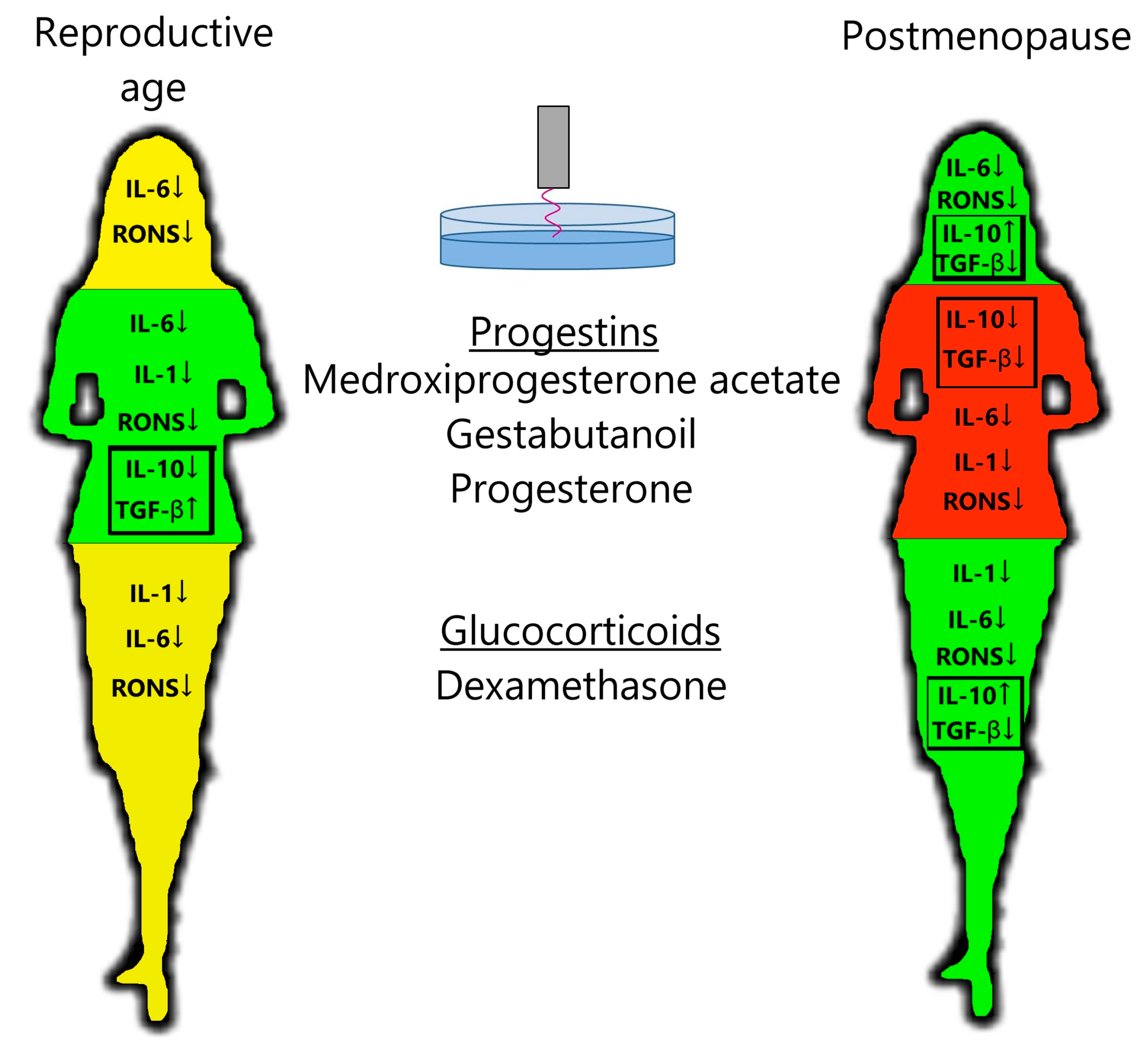 Medsci 13 00209 g003