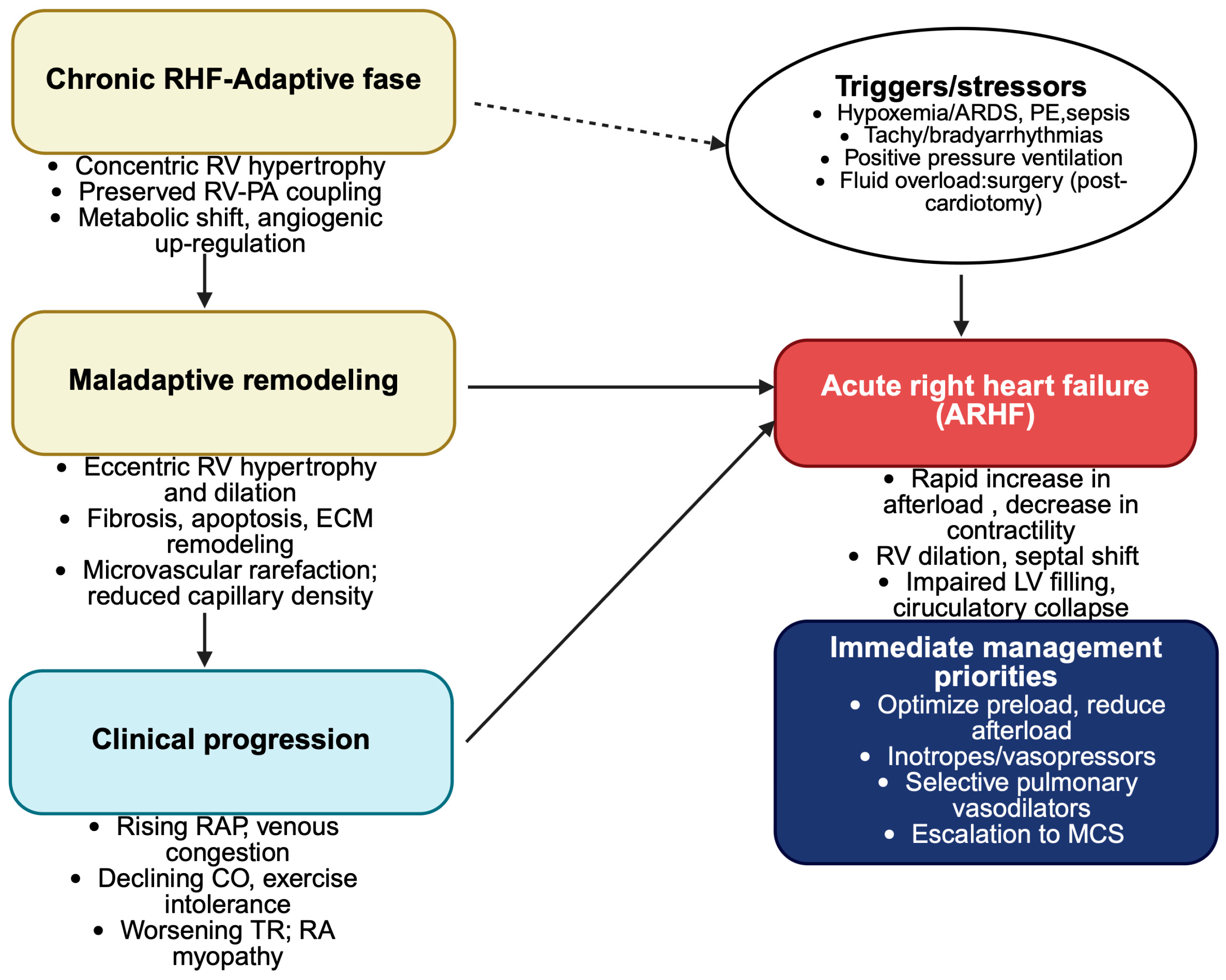 Medsci 13 00210 g002