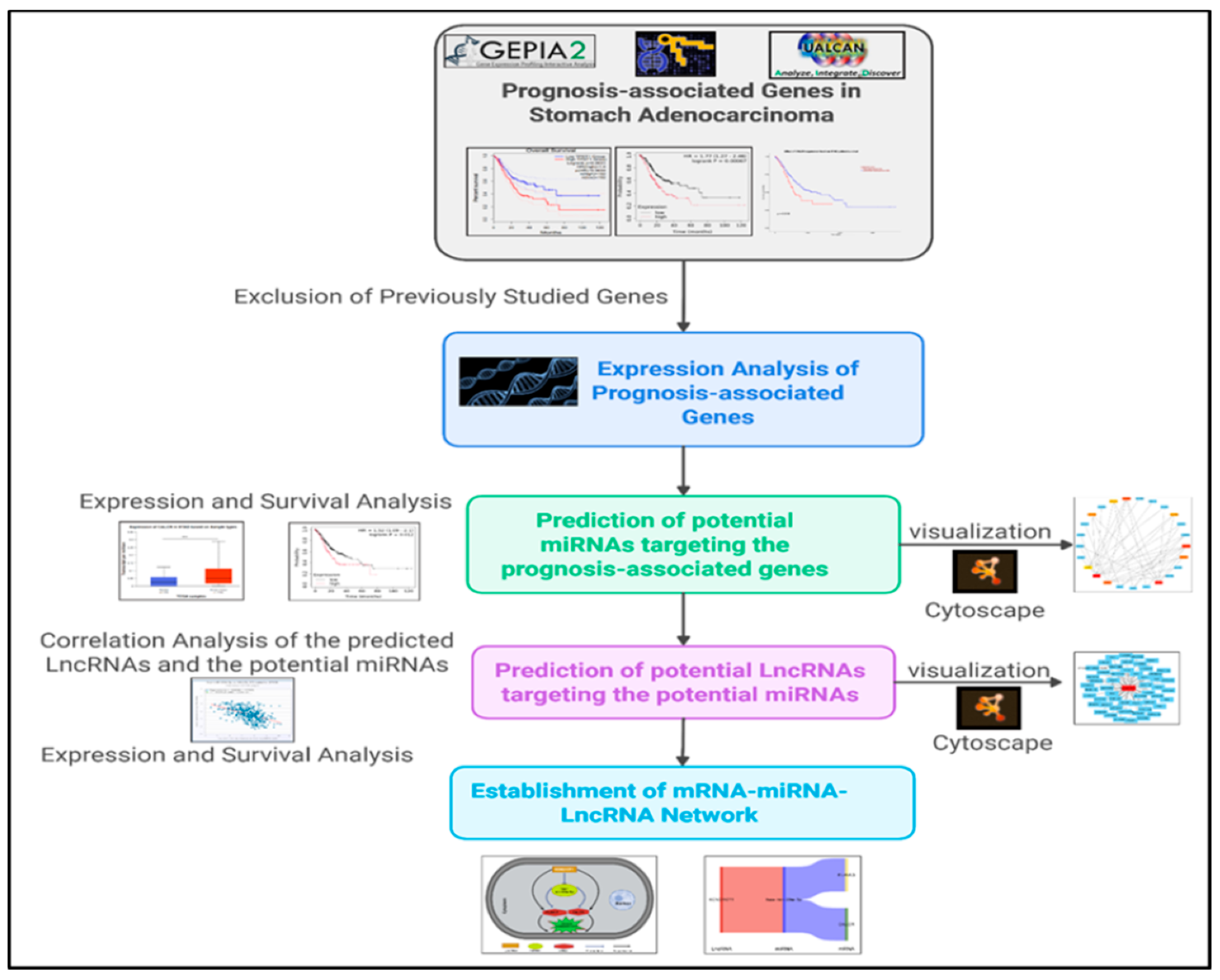 Medsci 13 00214 g001