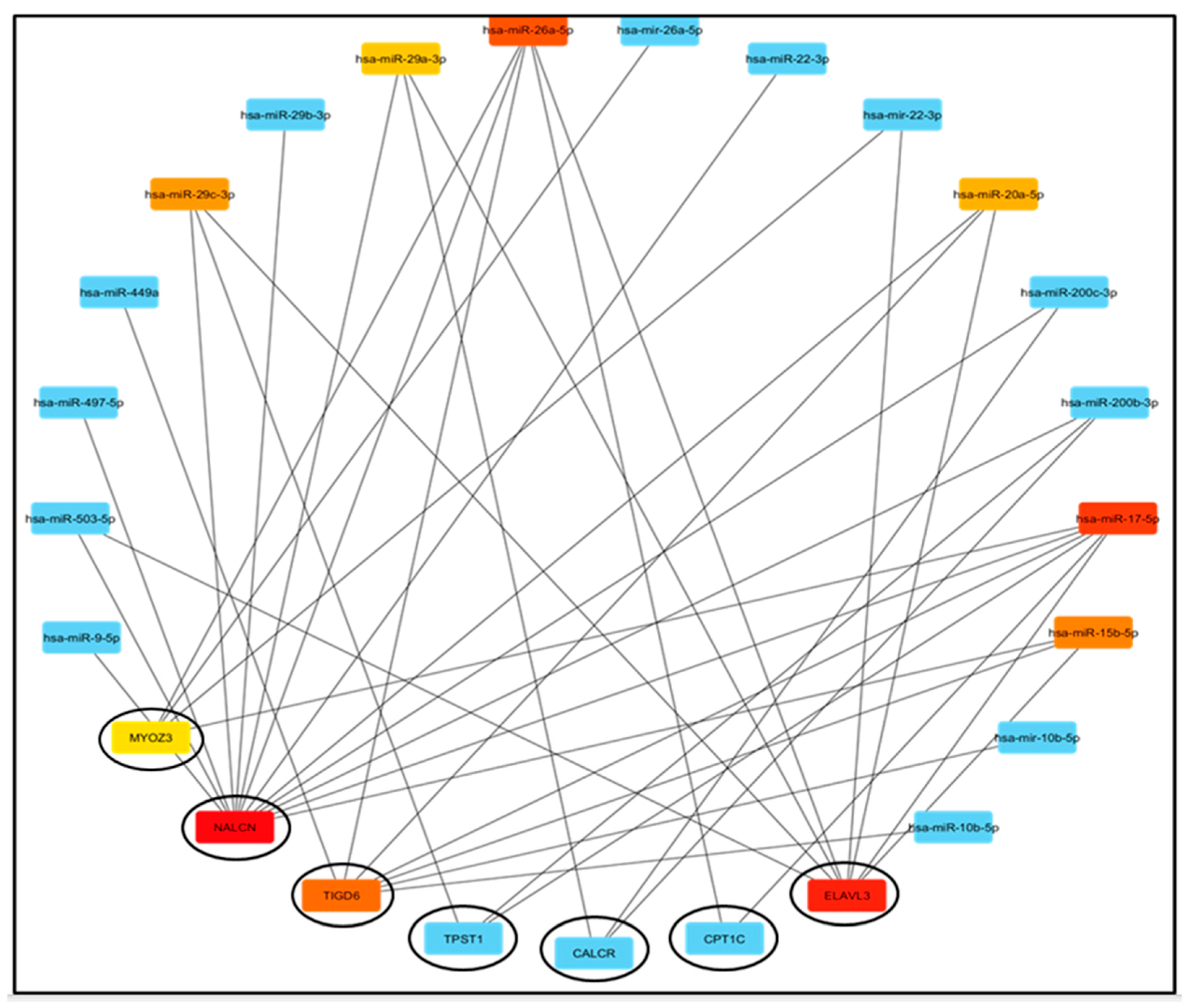 Medsci 13 00214 g002