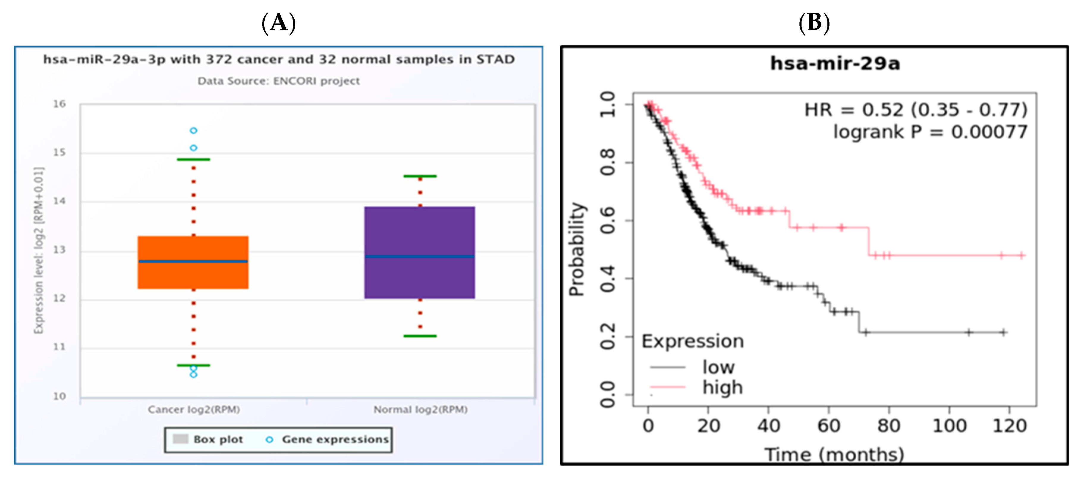 Medsci 13 00214 g003