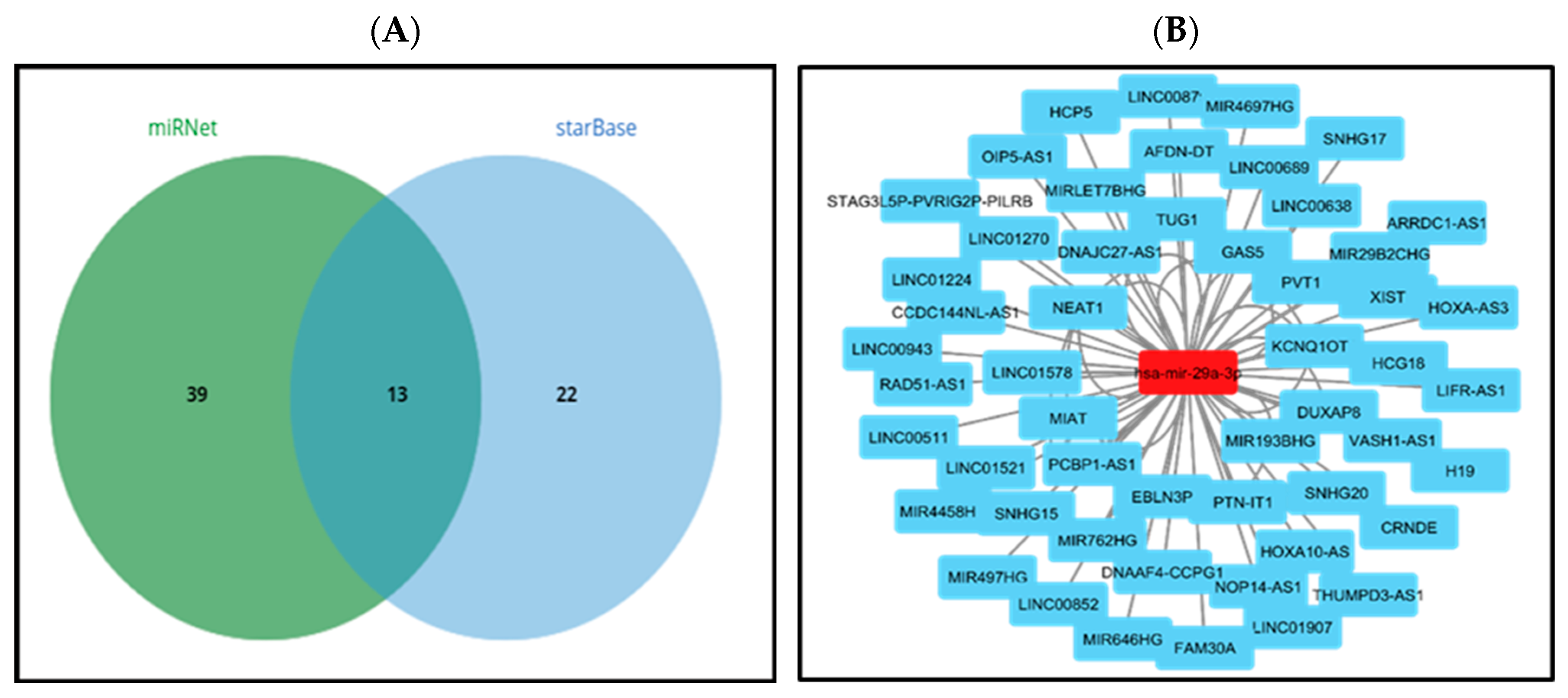 Medsci 13 00214 g004