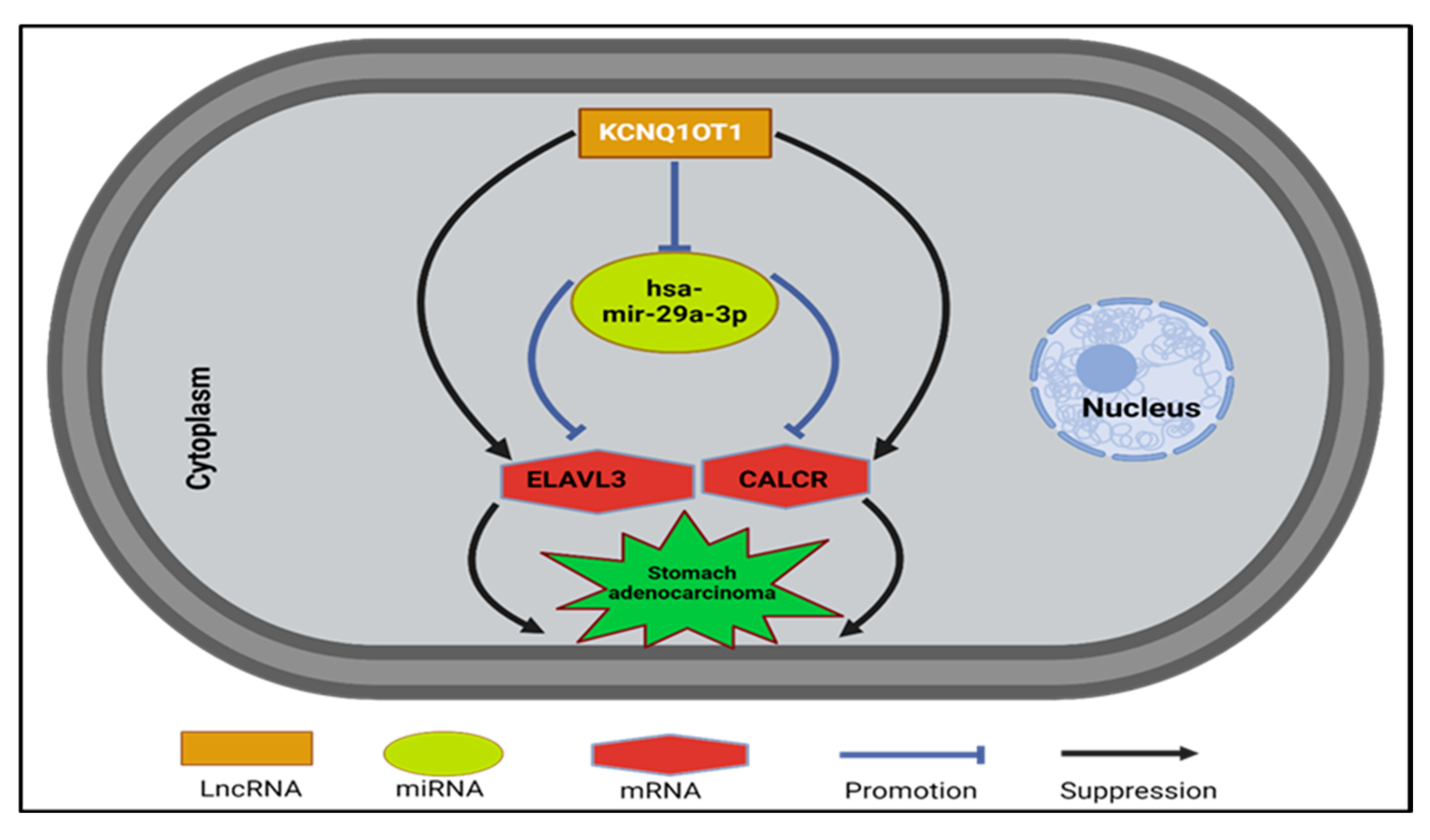 Medsci 13 00214 g008