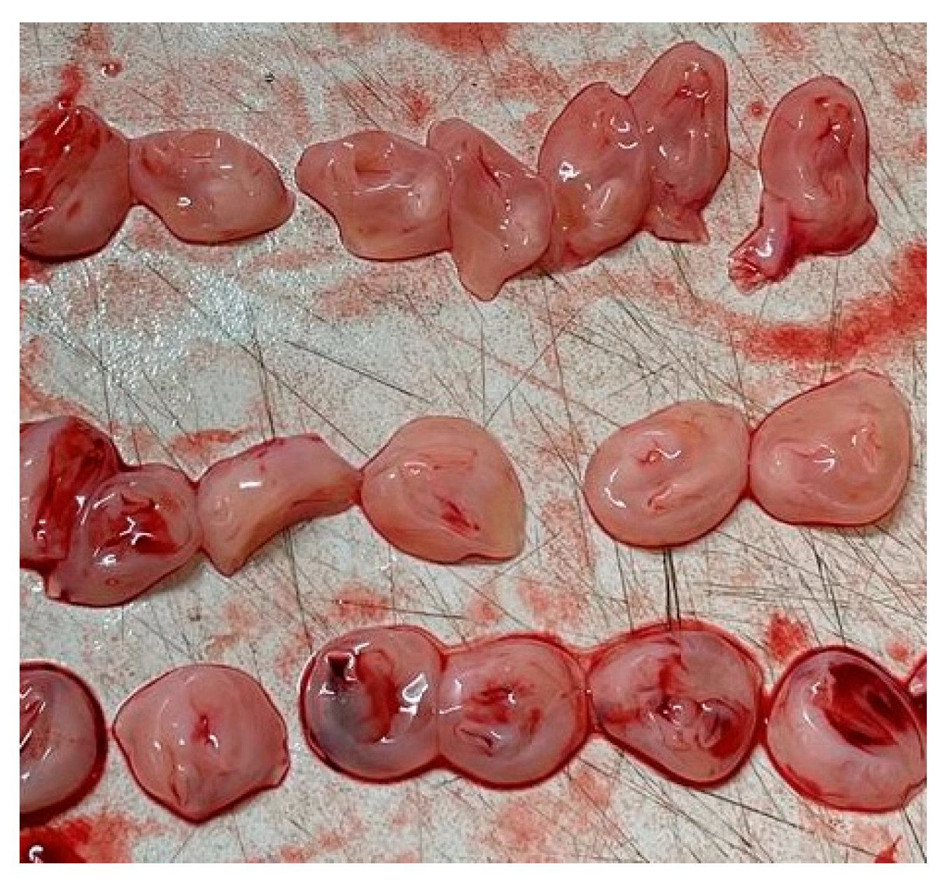 Medsci 13 00215 g001 Medsci 13 00215 g001