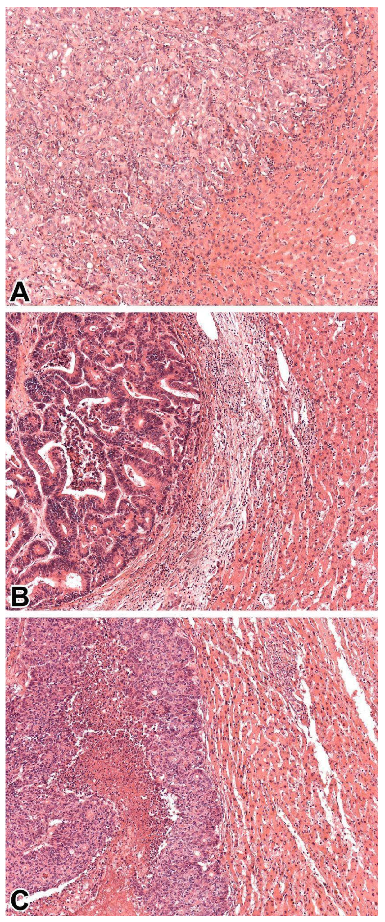 Medsci 13 00220 g002