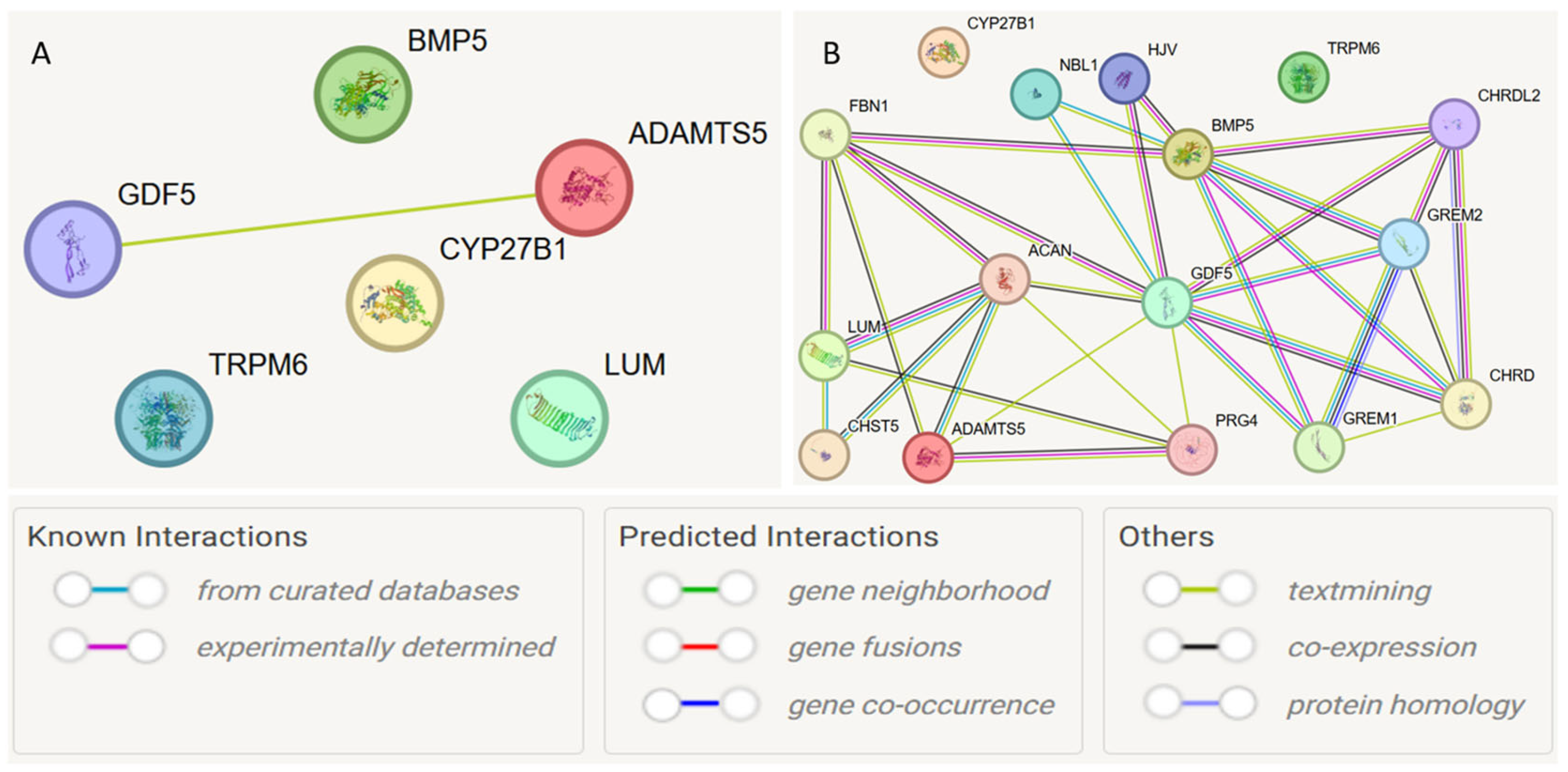 Medsci 13 00223 g004 Medsci 13 00223 g004