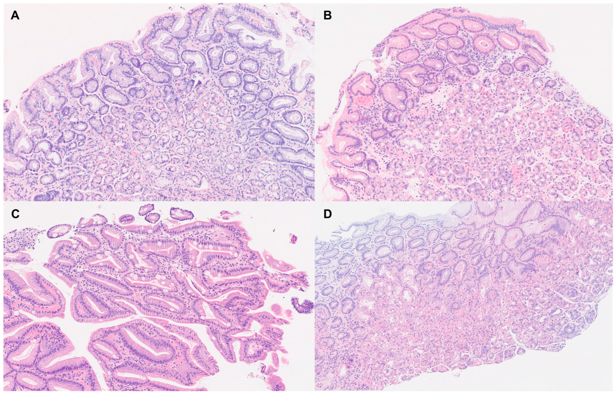 Medsci 13 00224 g002