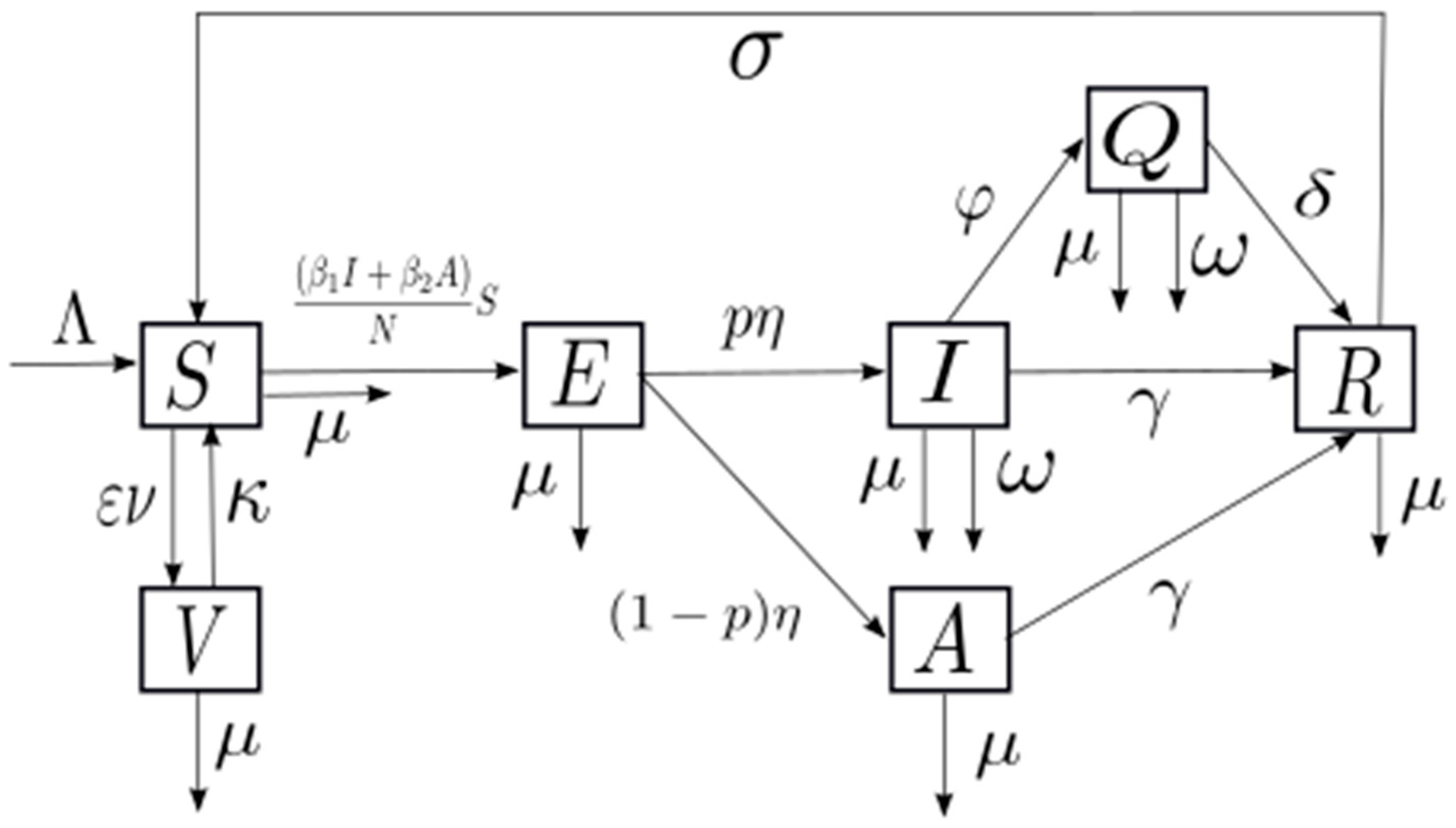 Medsci 13 00226 g001