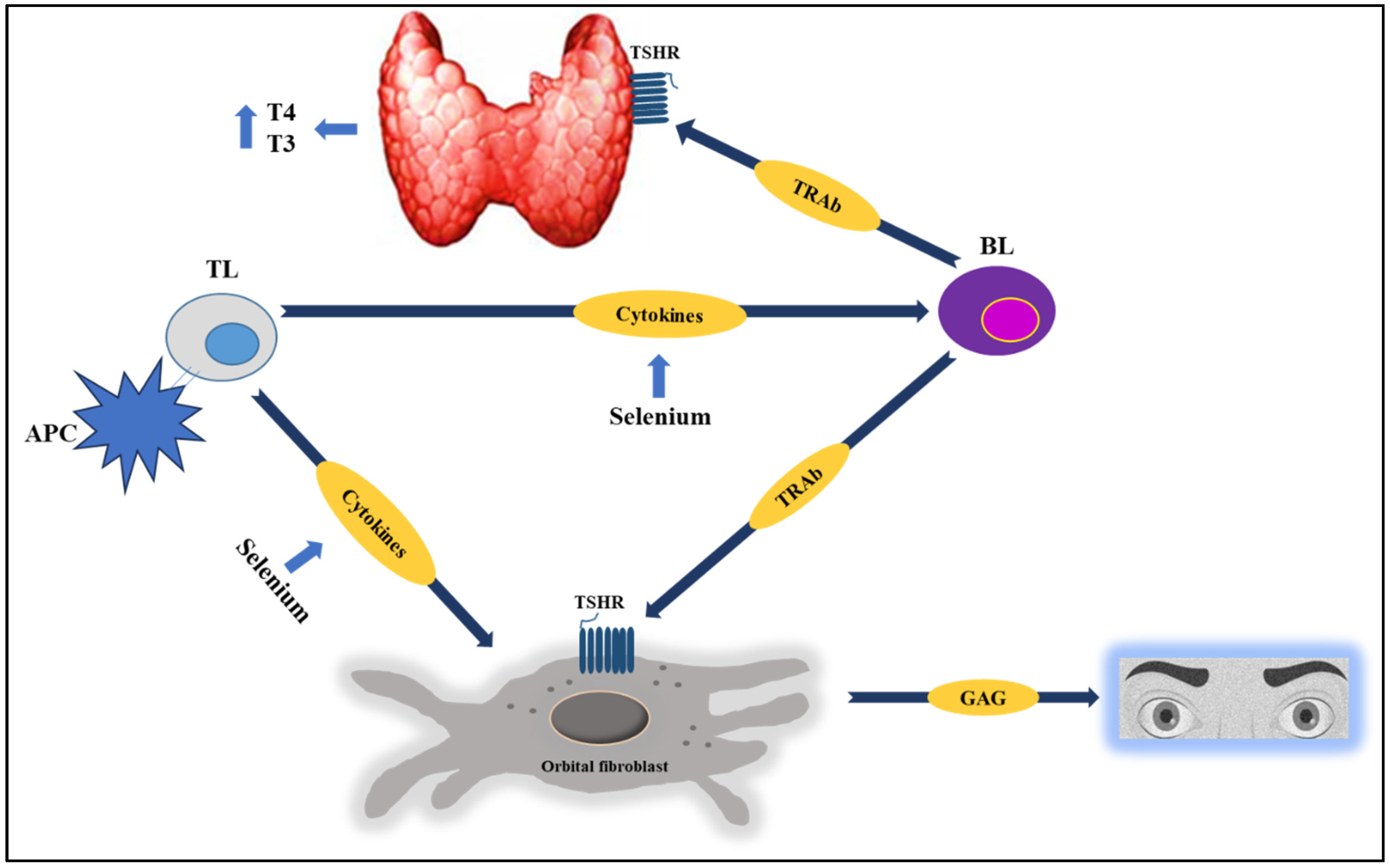 Medsci 13 00241 g002 Medsci 13 00241 g002