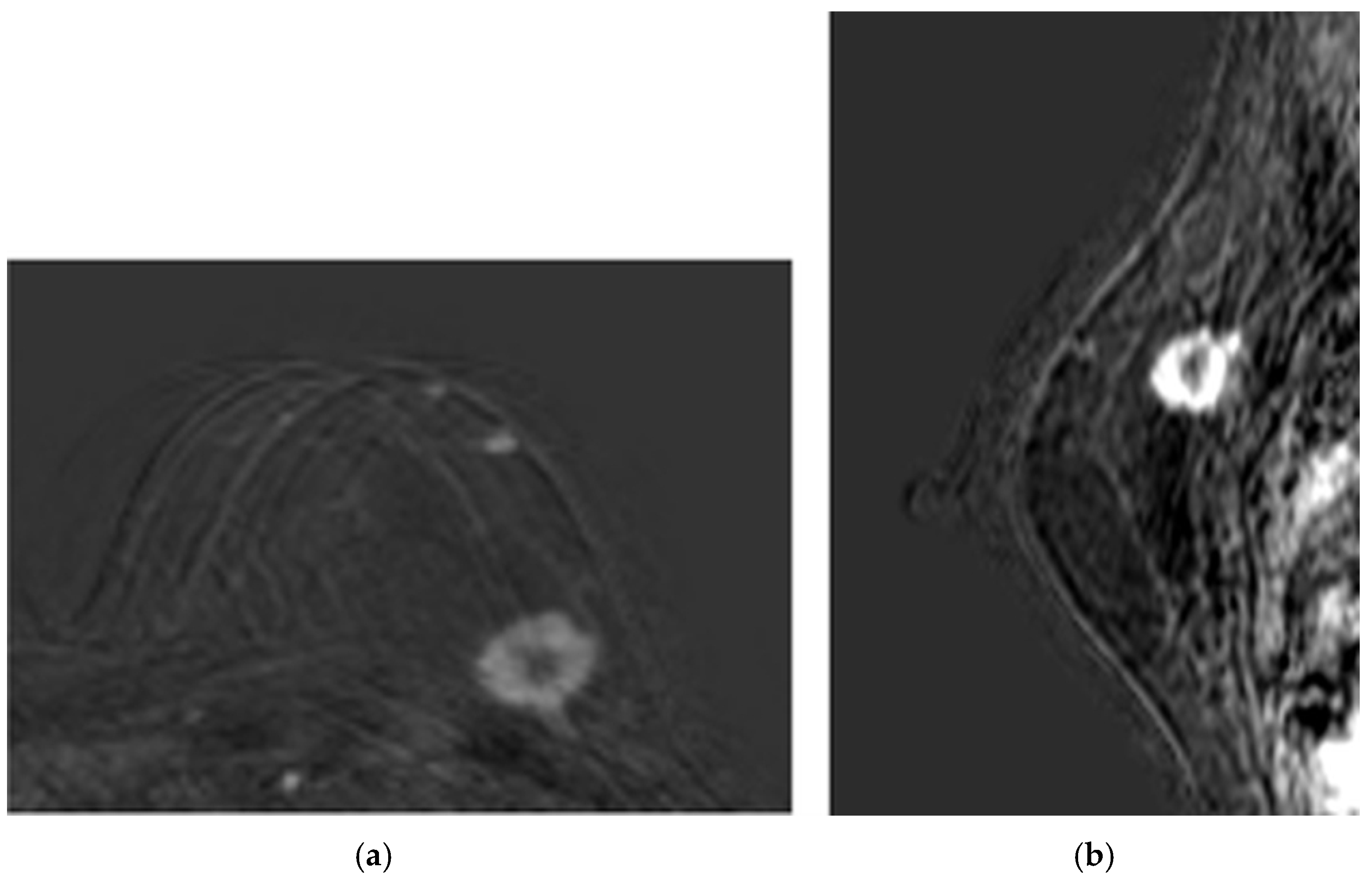 Medsci 13 00242 g002 Medsci 13 00242 g002
