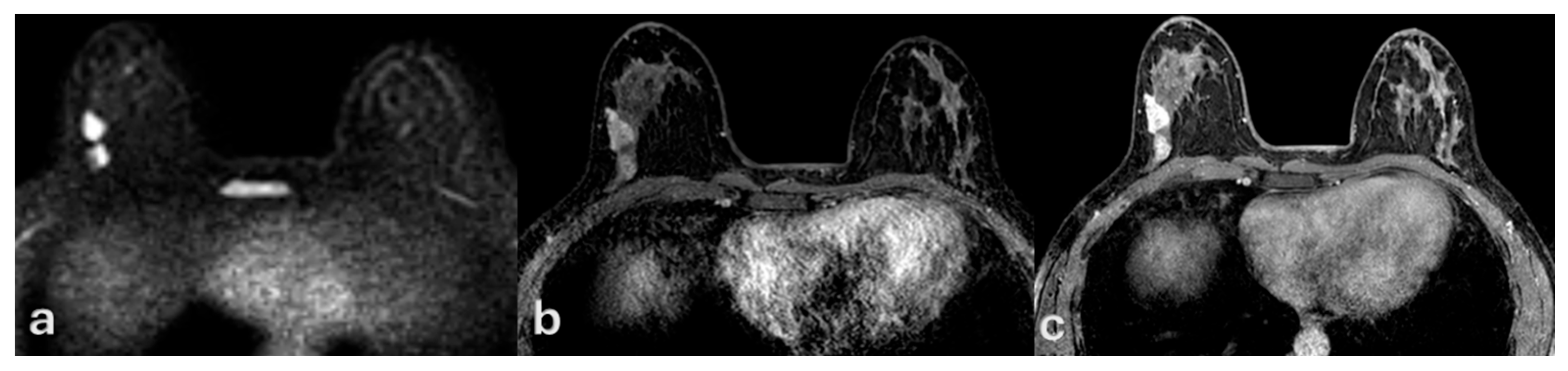 Medsci 13 00245 g002