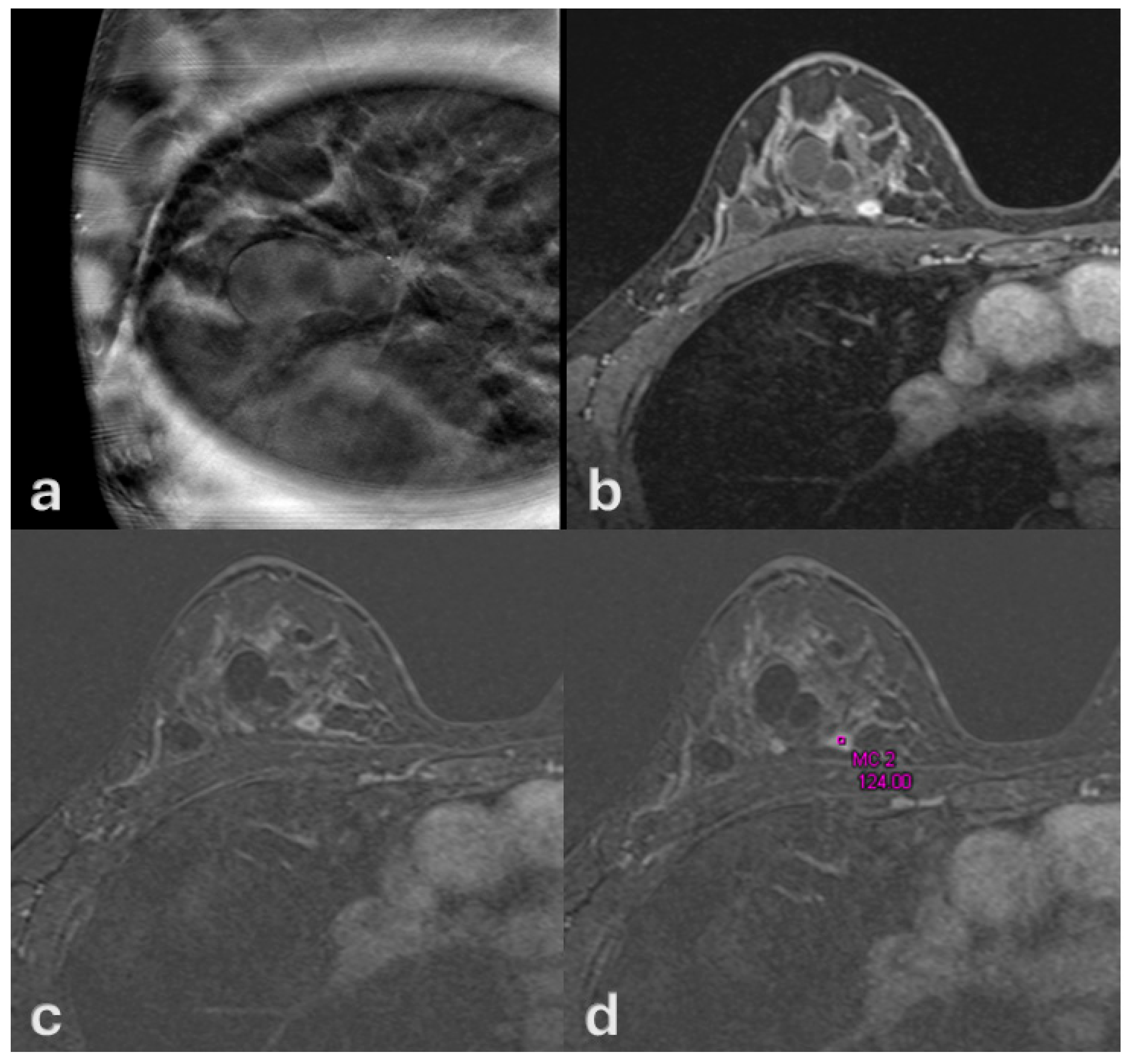 Medsci 13 00245 g003