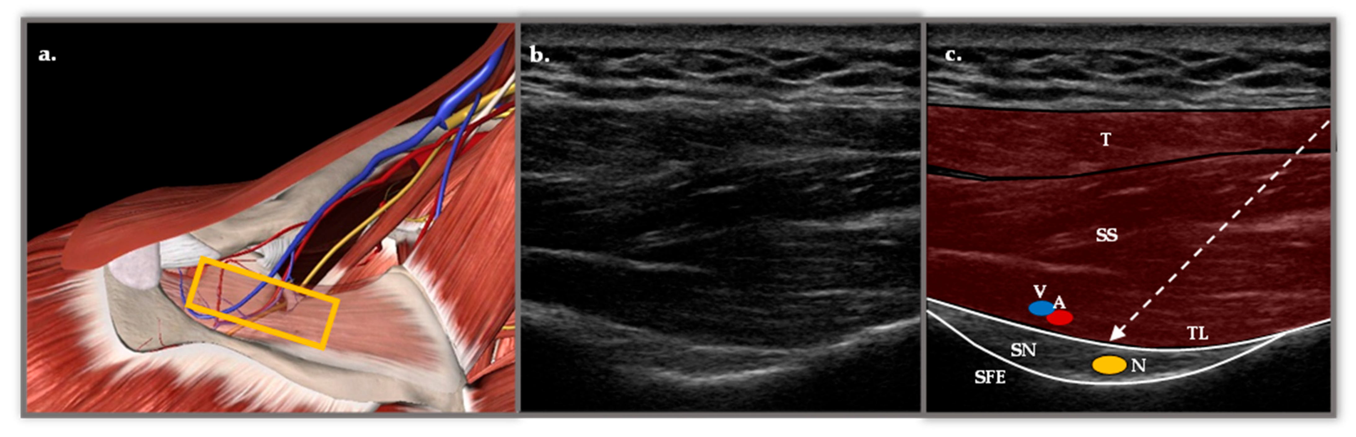 Medsci 13 00252 g001