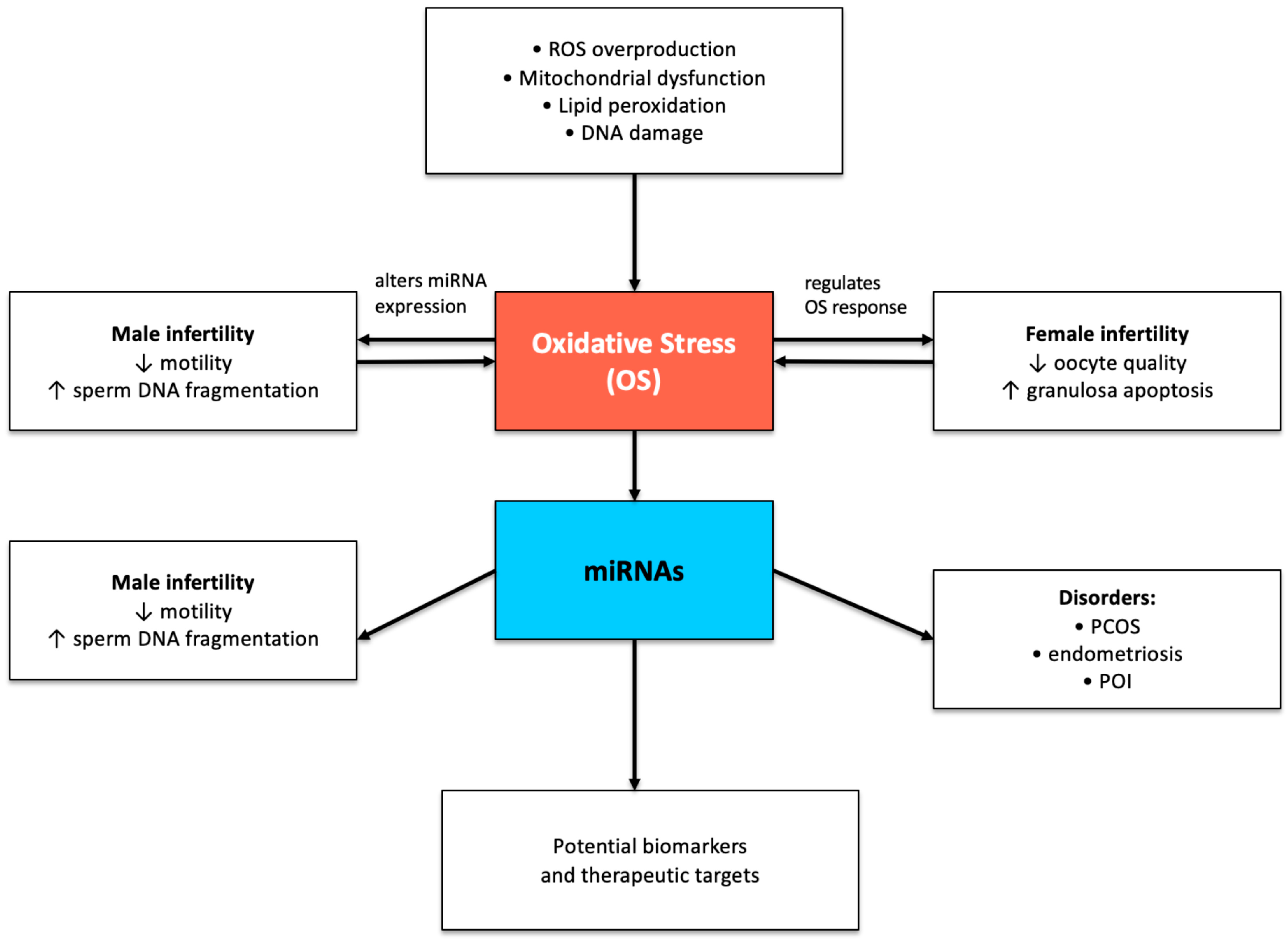 Medsci 13 00254 g001 Medsci 13 00254 g001