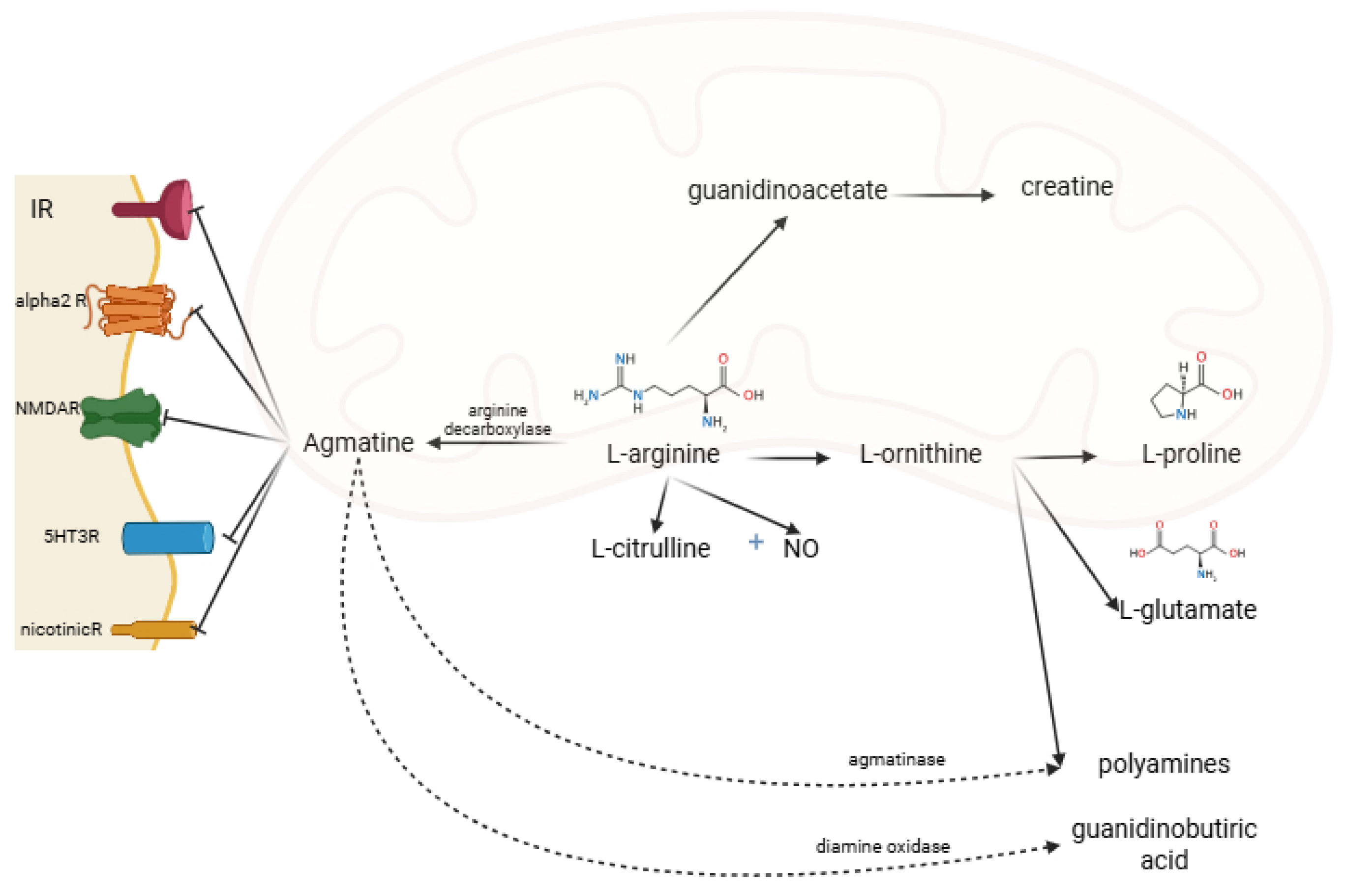 Medsci 13 00255 g002 Medsci 13 00255 g002