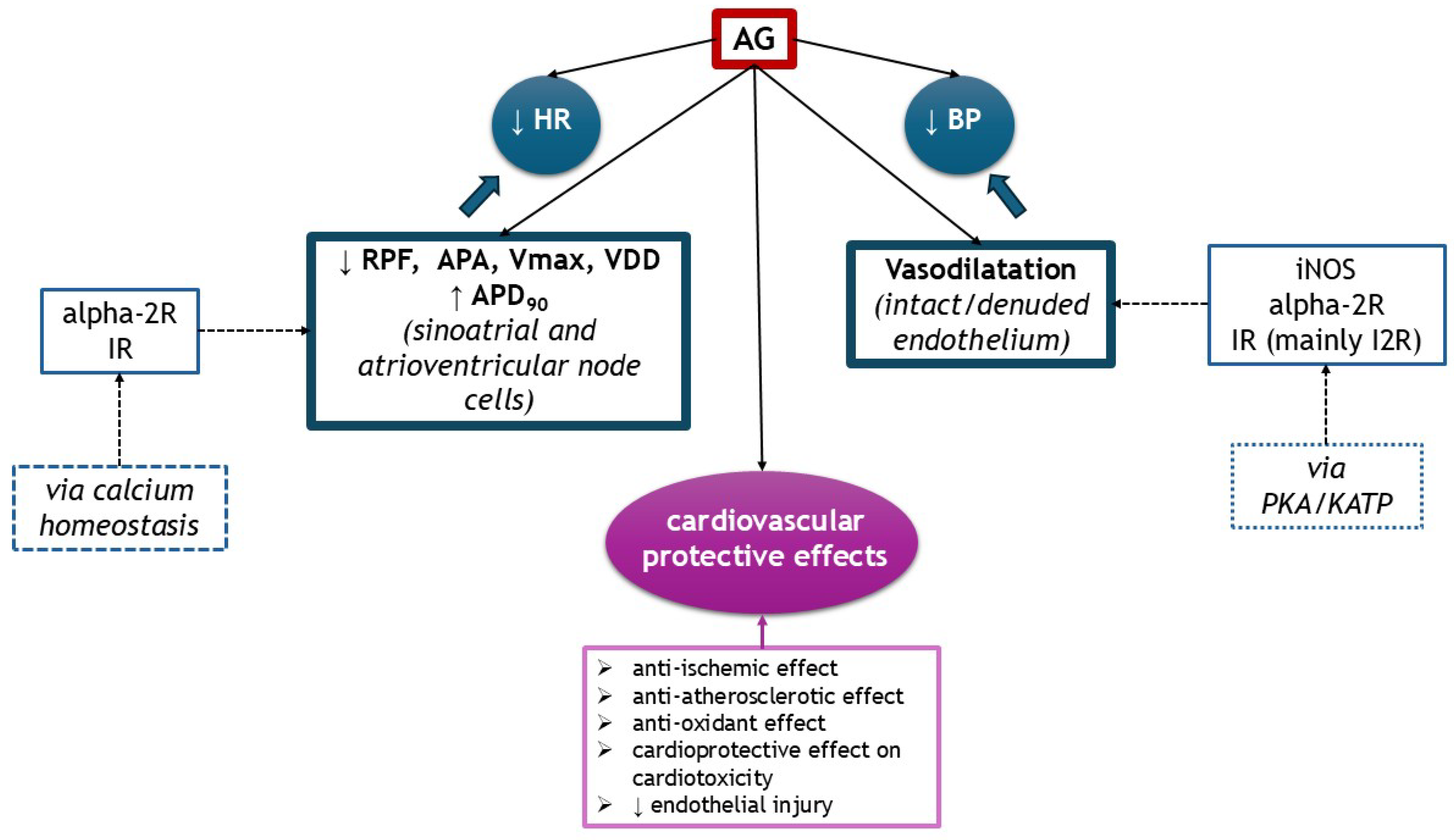 Medsci 13 00255 g005 Medsci 13 00255 g005