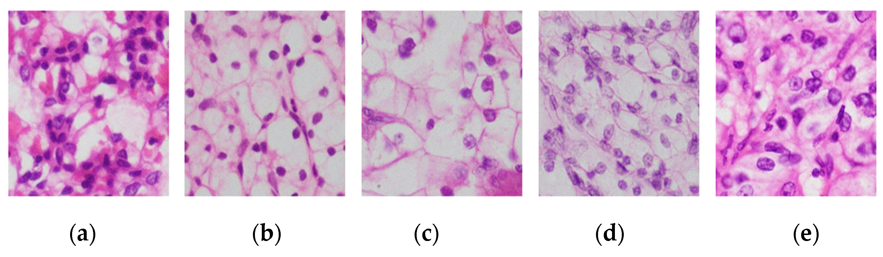 Medsci 13 00257 g001