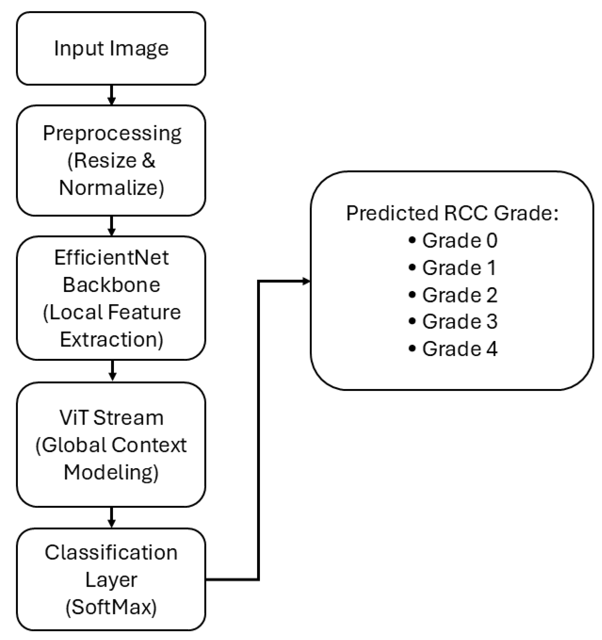 Medsci 13 00257 g002