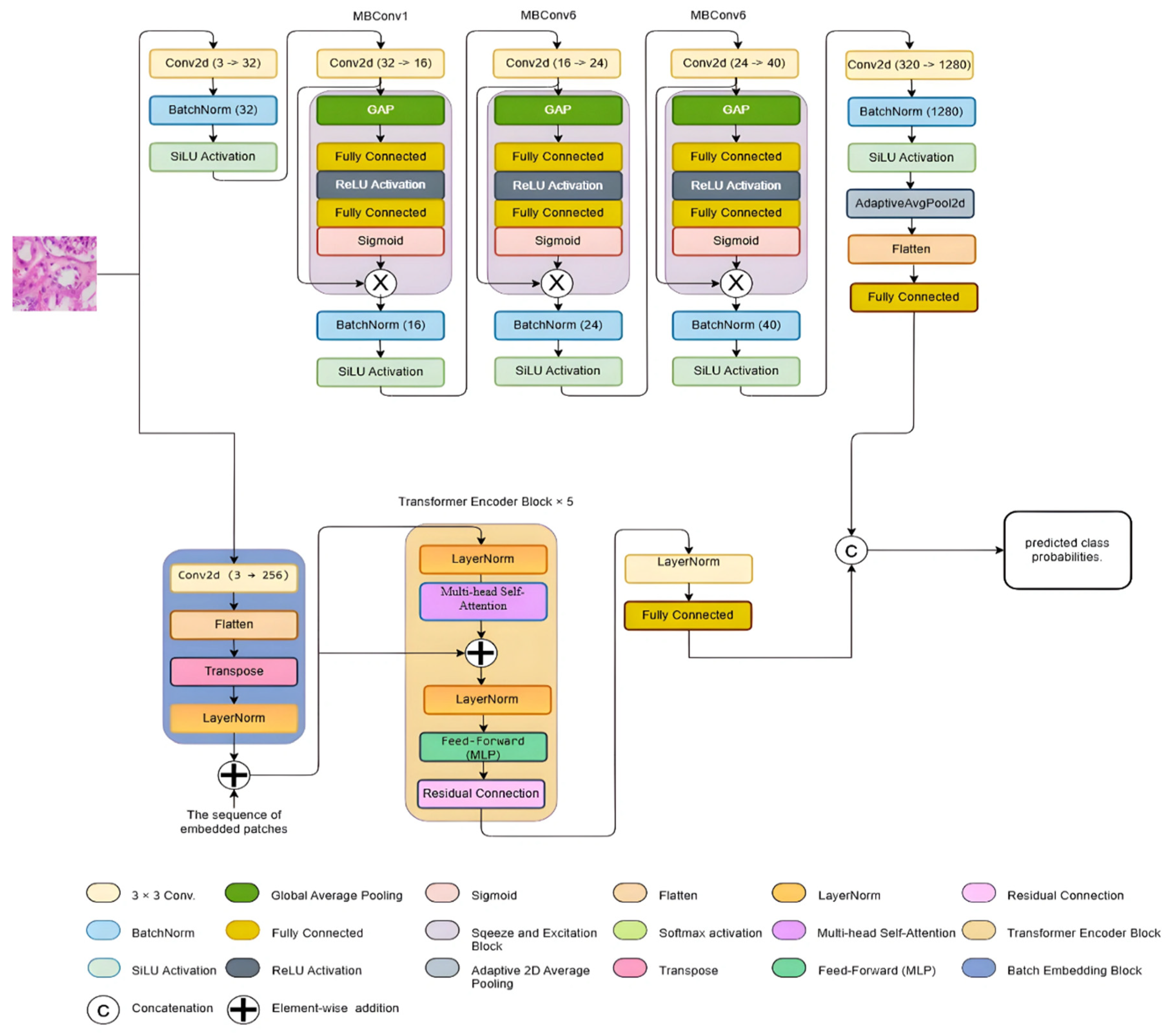 Medsci 13 00257 g003