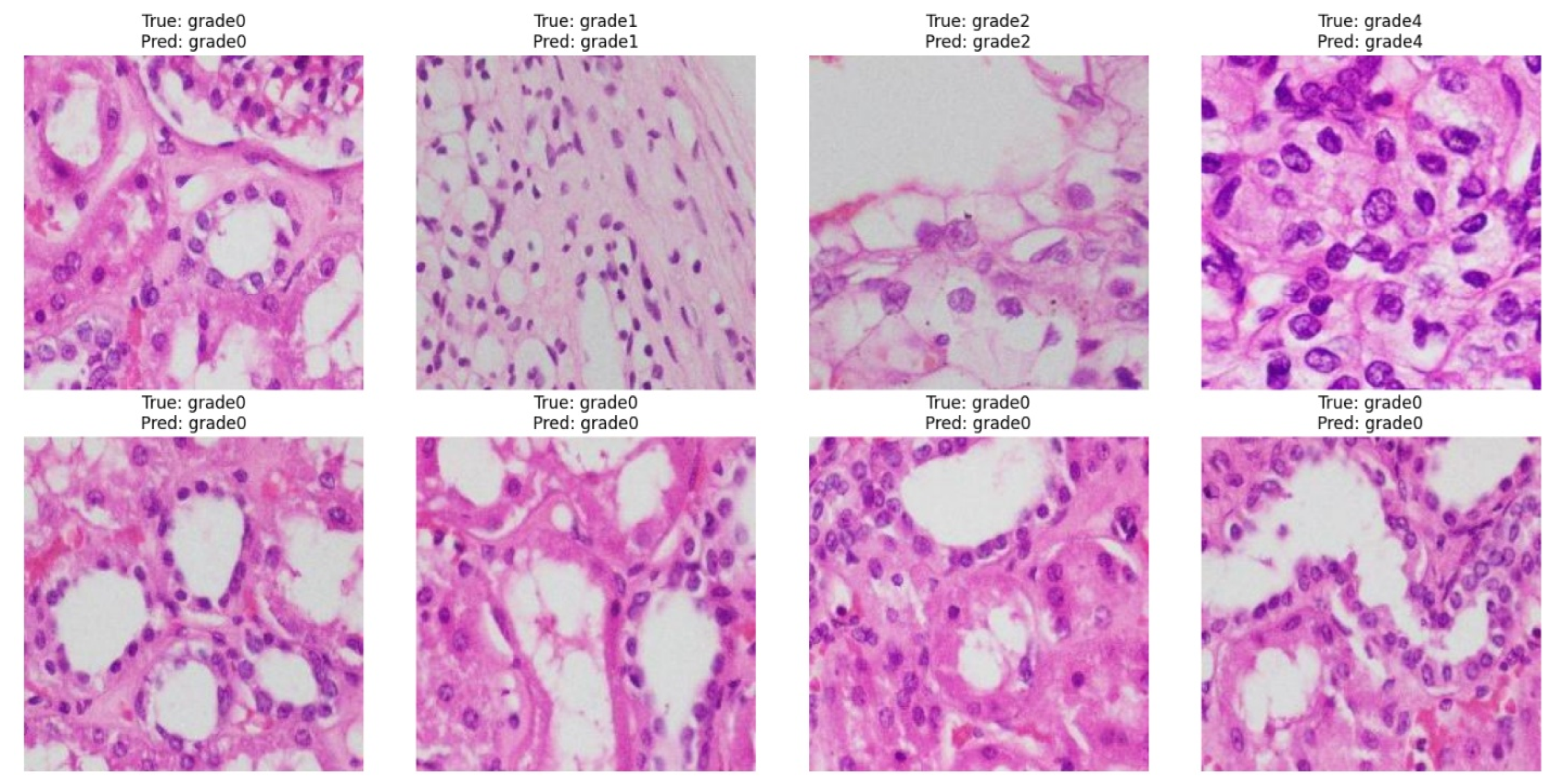 Medsci 13 00257 g006