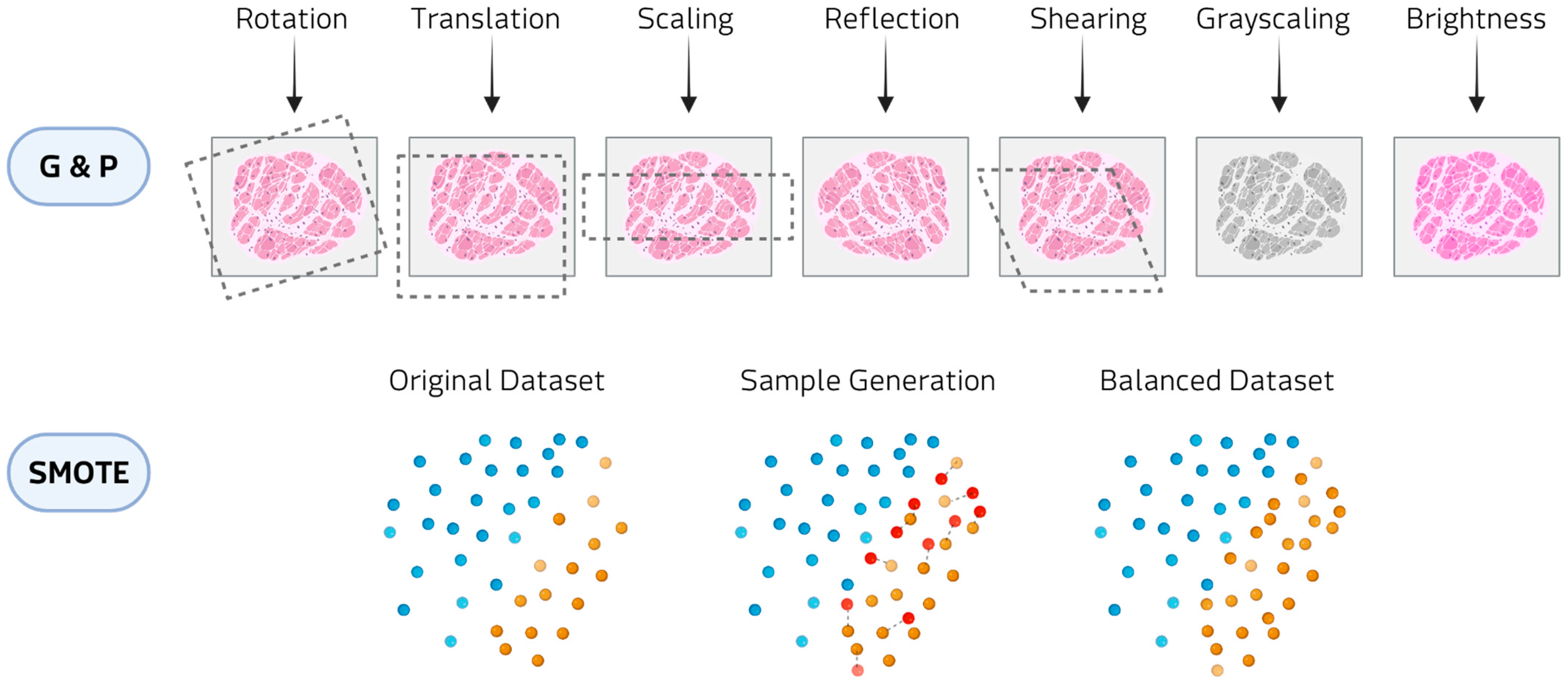 Medsci 13 00260 g003
