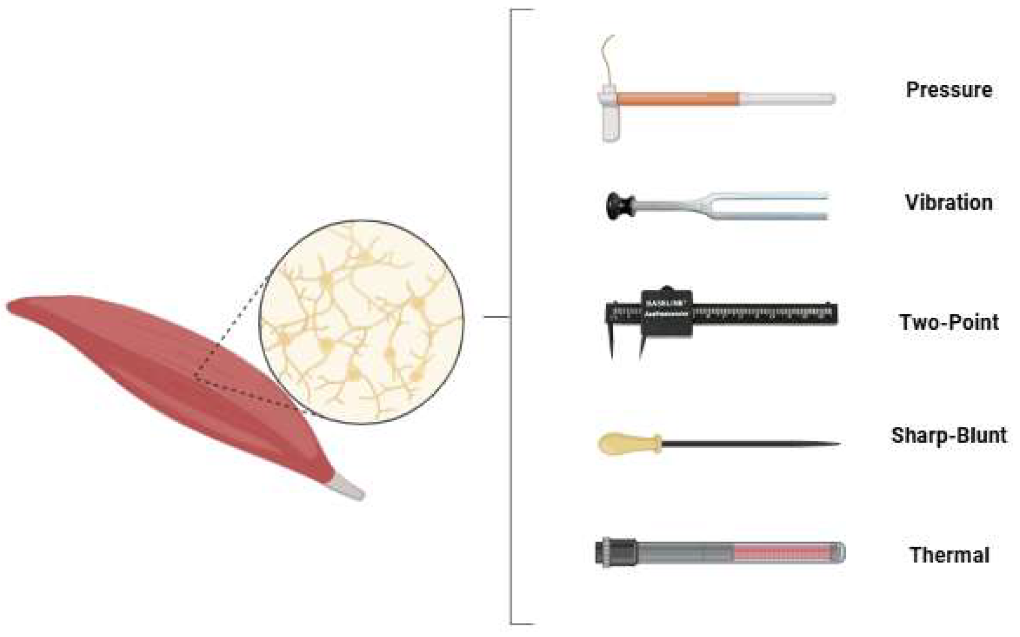 Medsci 13 00262 g001 Medsci 13 00262 g001