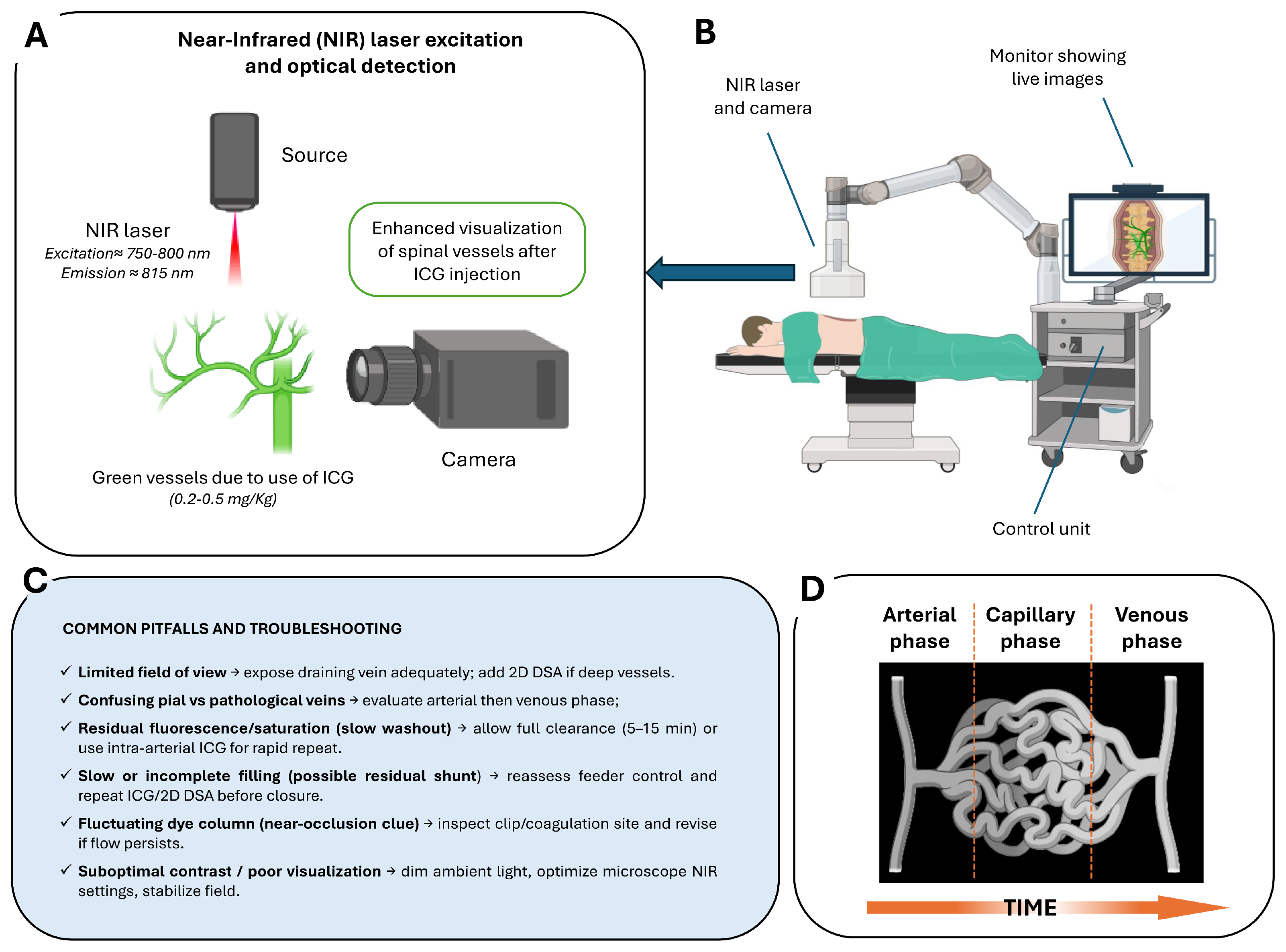 Medsci 13 00266 g002
